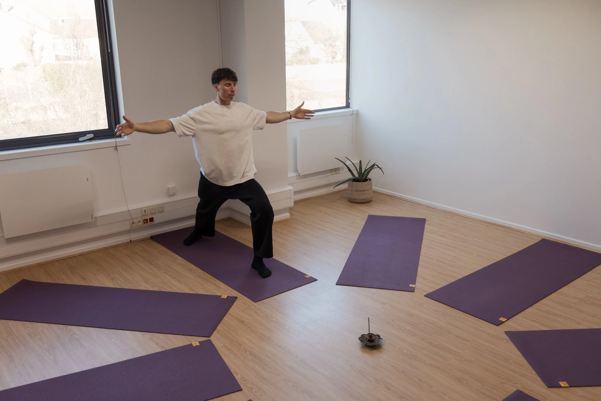 Une personne faisant une posture de yoga dans une pièce lumineuse avec des tapis violets, une plante en pot et des fenêtres.