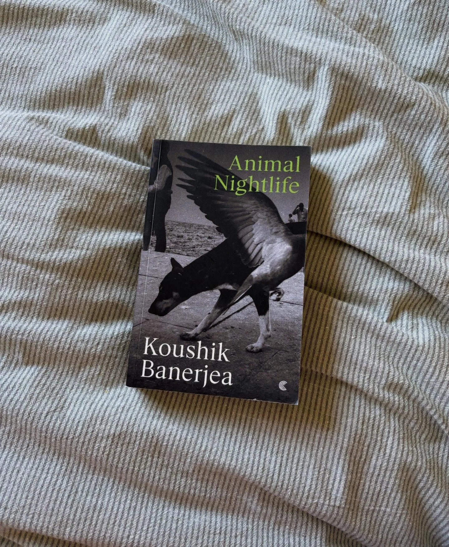 🦅 COMING 9TH JULY 🦅

A rapturous, kaleidoscopic portrait of contemporary Britain and the myriad immigrant experiences that informed it, from the 1950s to a present-day landscape of racism, class division and economic decay, told through the voices 