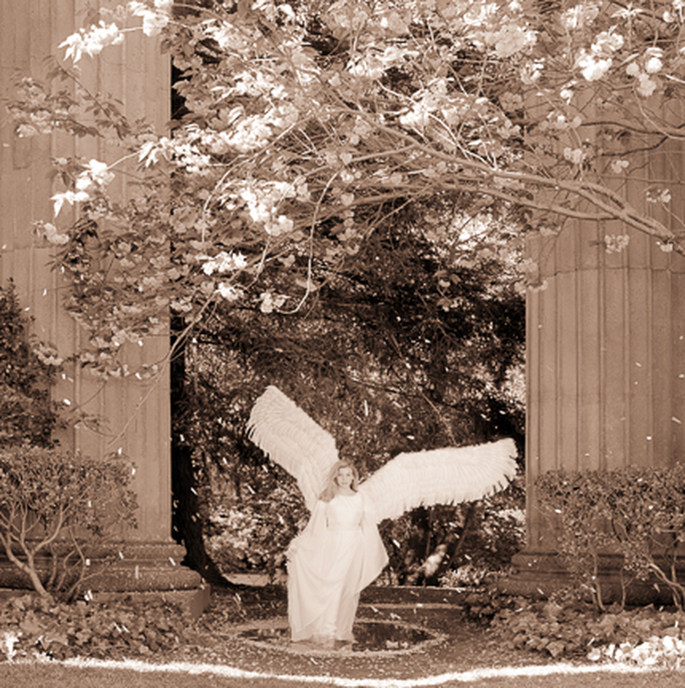 Innocence by Kerry Swank featuring an angelic figure beneath blooming trees and stone archways, symbolizing purity, peace, faith, healing, hope, and the gentle beauty of God’s presence.