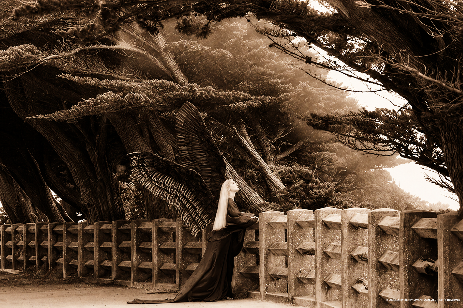 A woman with long blonde hair and angel wings sitting on a wooden fence in a forest with tall trees, all in sepia tone.