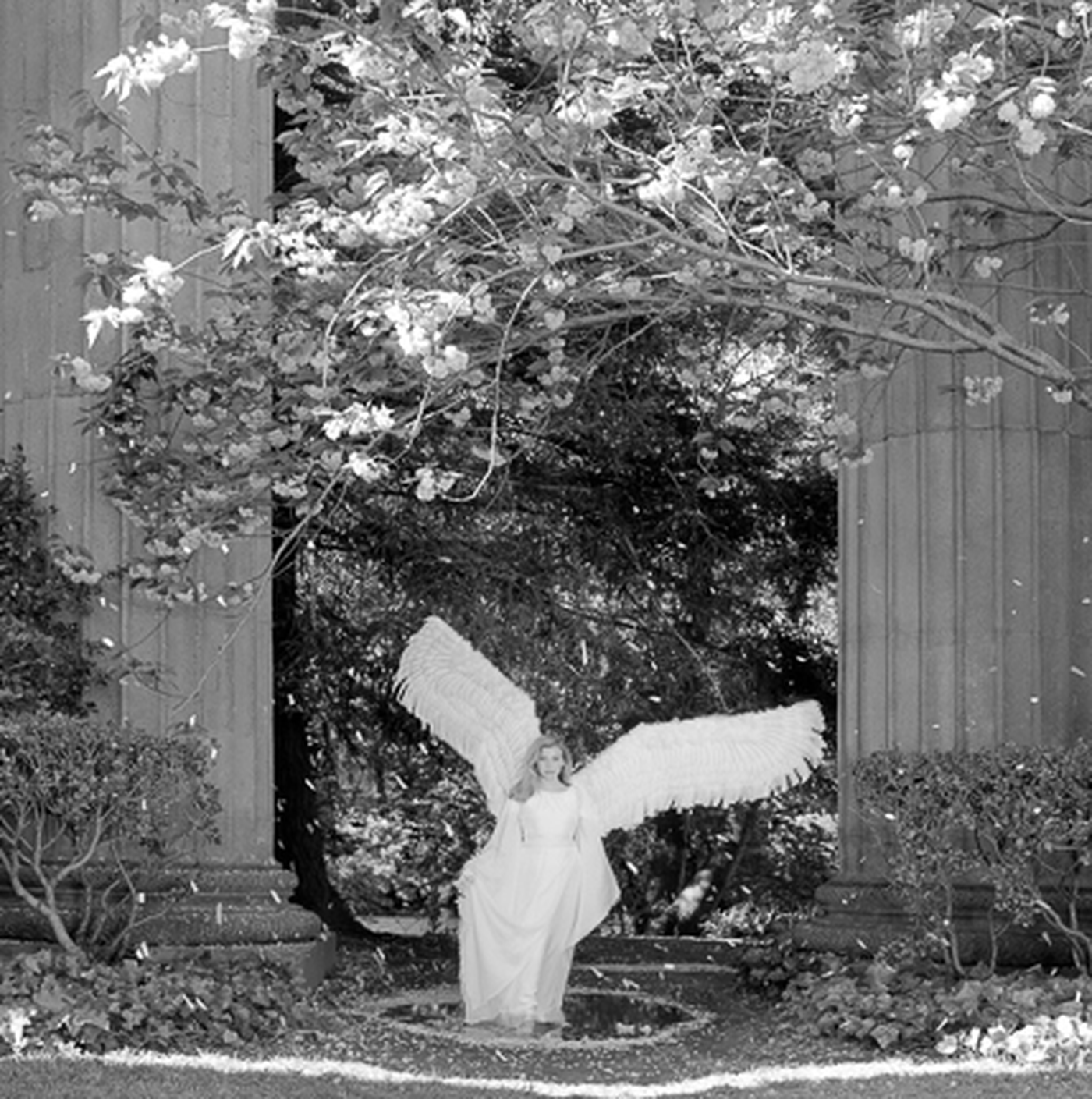 Innocence by Kerry Swank featuring an angelic figure beneath blooming trees and stone archways, symbolizing purity, peace, faith, healing, hope, and the gentle beauty of God’s presence.