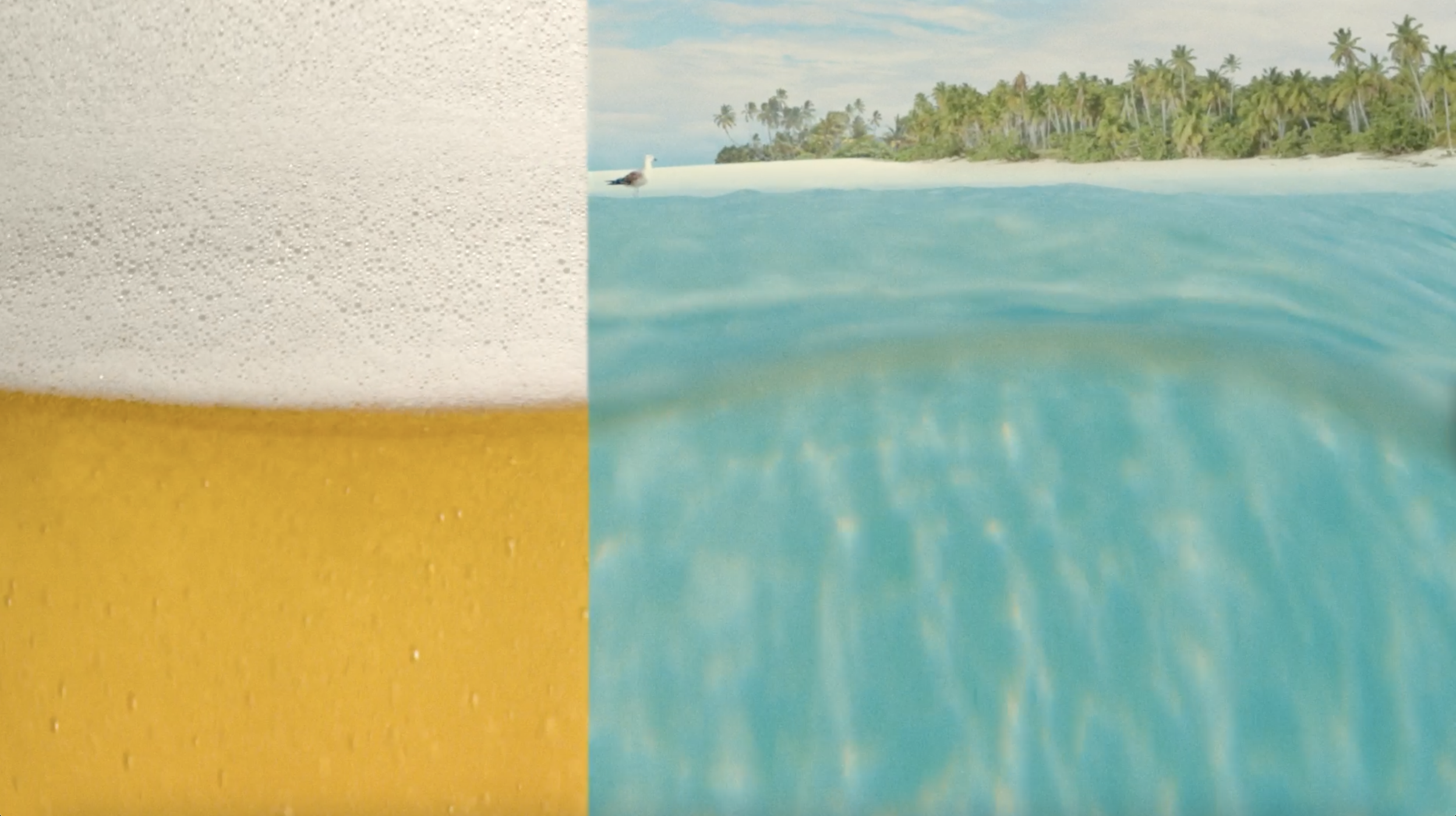 Screenshot 2026-02-12 at 5.15.08 AM.png