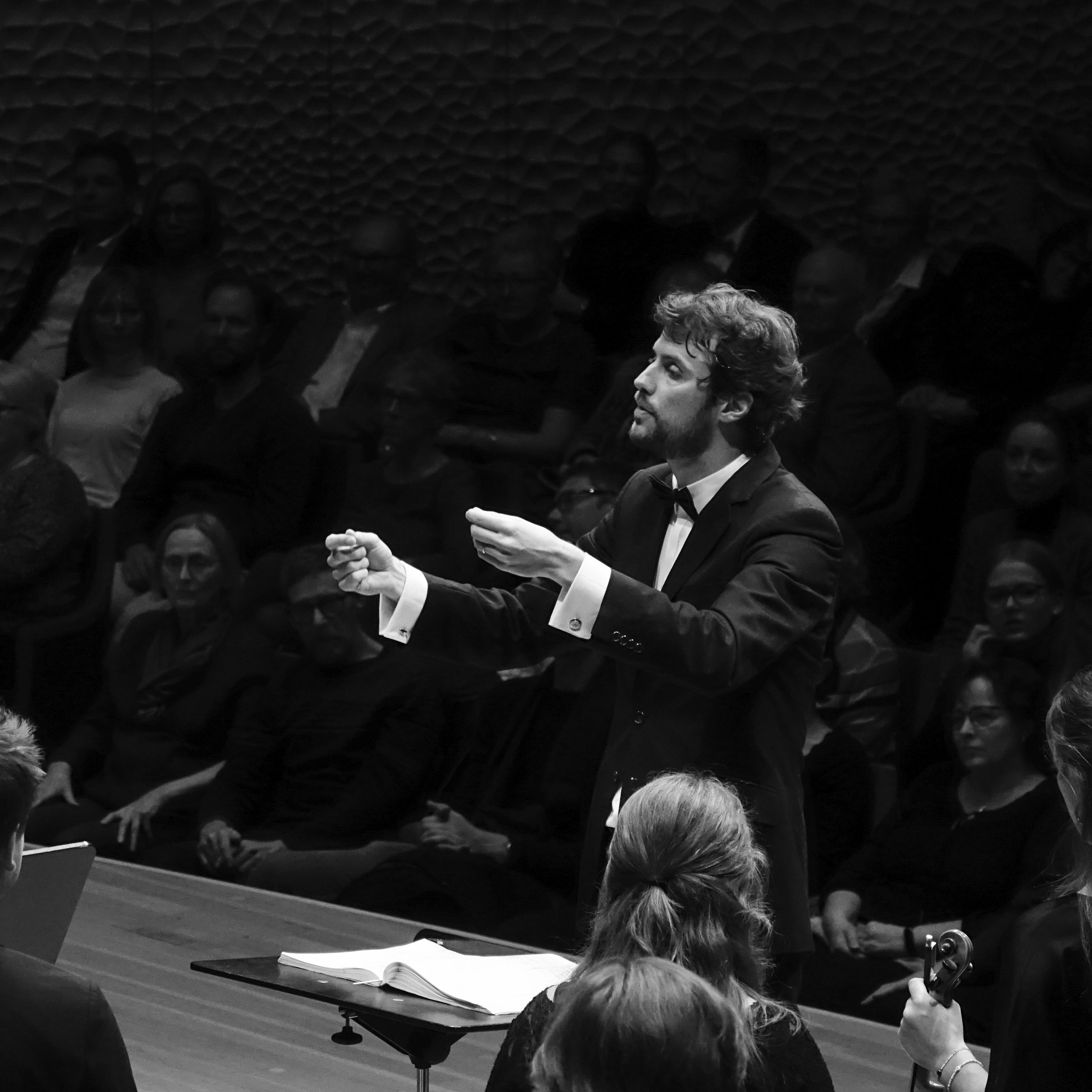 Observed in PErformance -4.jpg