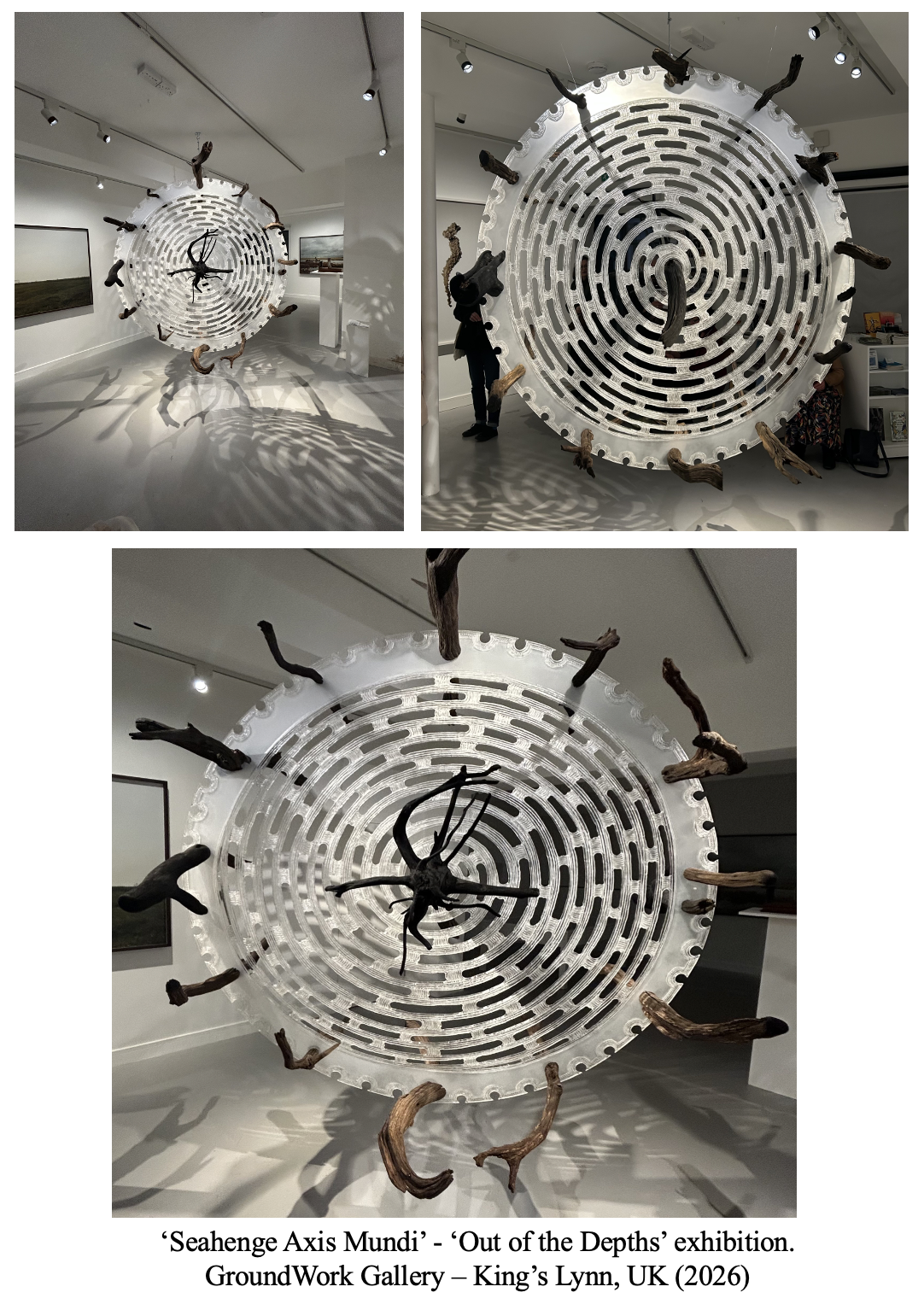 An art installation titled 'Seahenge Axis Mundi' from the 'Out of the Depths' exhibition at GroundWork Gallery in King's Lynn, UK, 2026. The installation features a large circular maze-like structure with wooden branches protruding from its edges, casting intricate shadows on the floor.