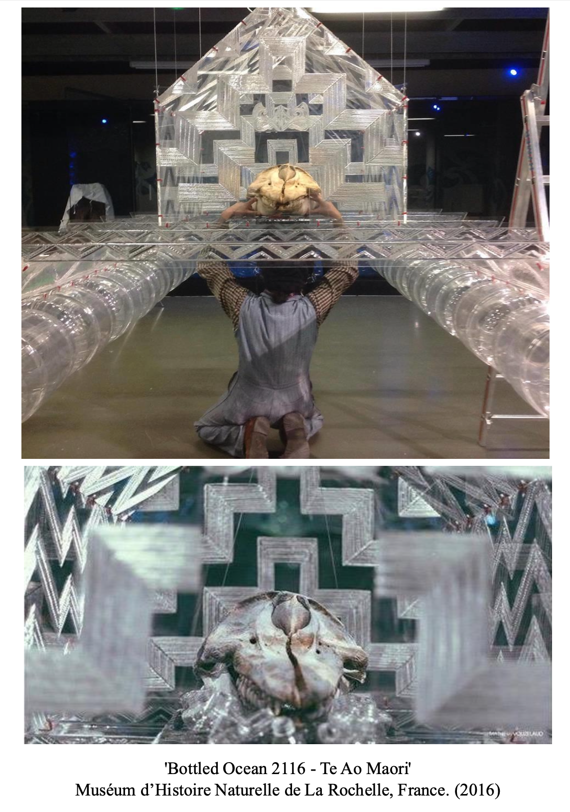 A person kneeling and looking into a triangular, transparent, geometric installation with a large shell-like object placed inside. The installation features clear, patterned acrylic panels and cylindrical tubes, displayed at the Museum of Natural History in La Rochelle, France, in 2016.