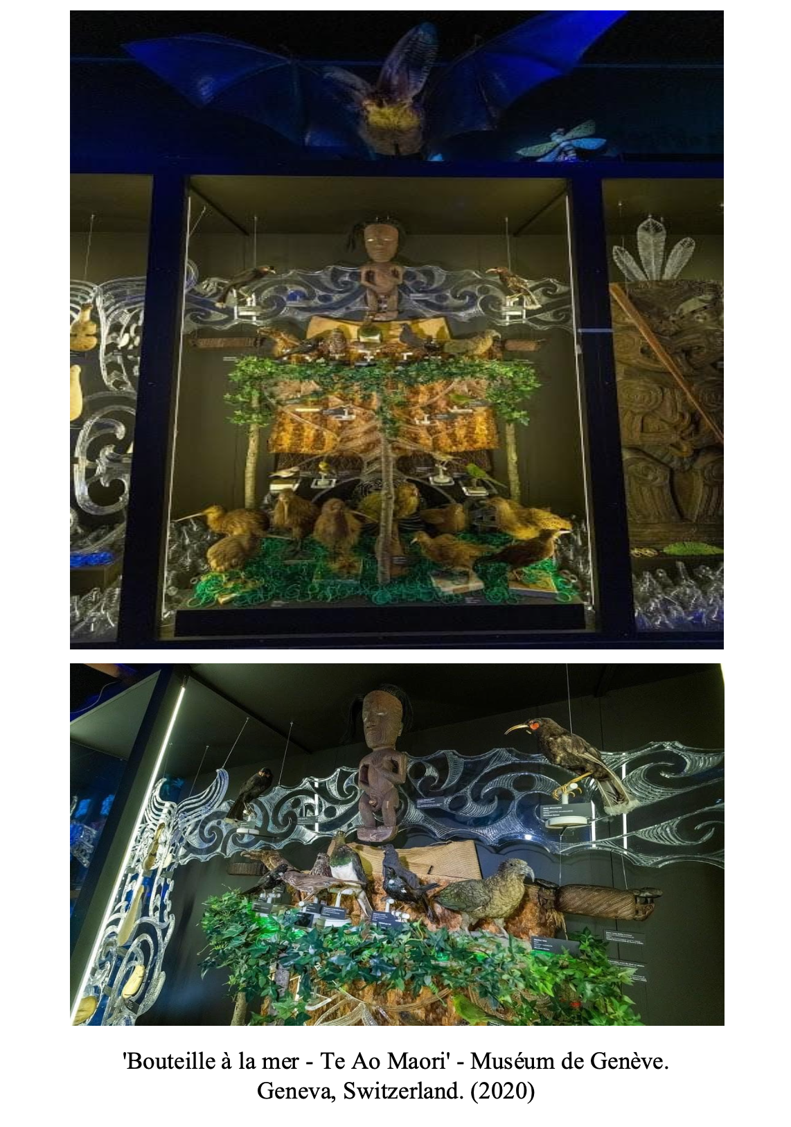 Two display cases showcasing Māori cultural artifacts, including carved wooden figures, woven items, and bird specimens, with traditional motifs and designs, part of an exhibit at the Museum of Geneva in Switzerland, 2020.