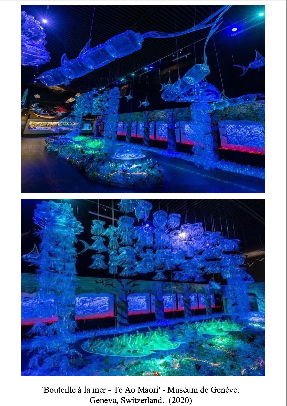 Illuminated glass sculptures of marine life, including fish and coral, displayed as part of the 'Bouteille à la mer - Te Ao Maori' exhibit at the Geneva Museum in Switzerland, 2020.