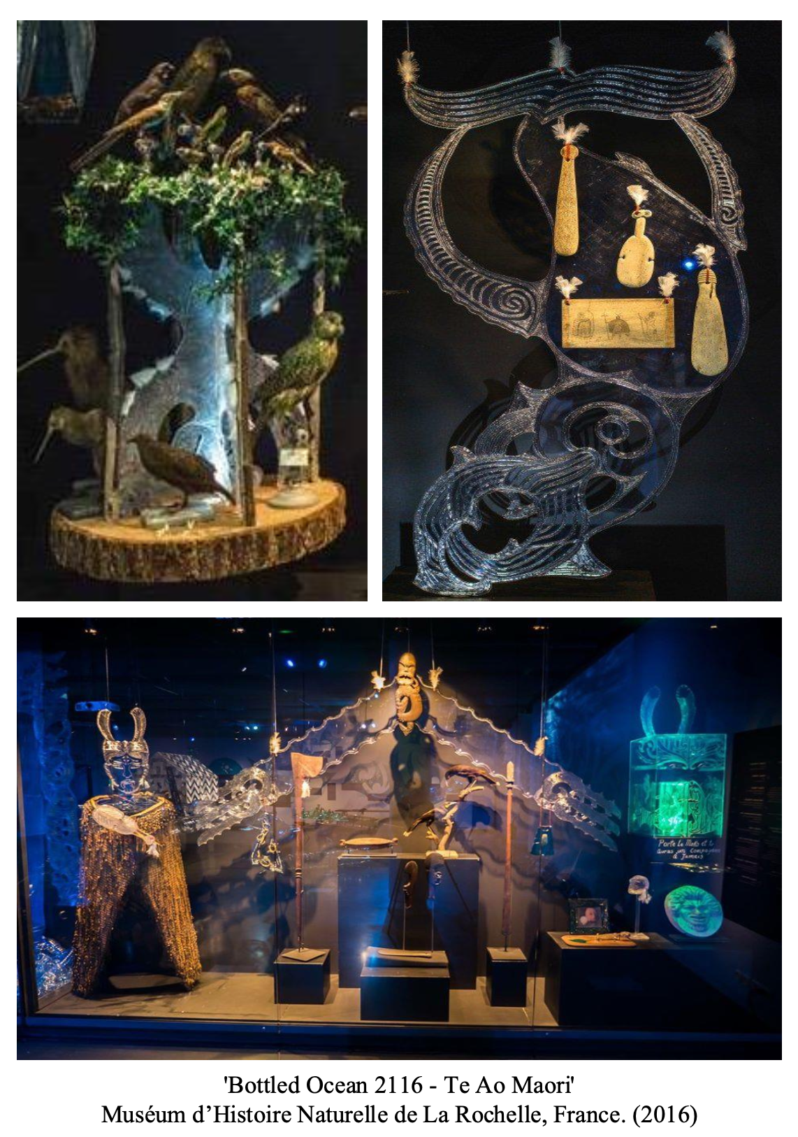 Exhibition display of Maori artifacts including carved and decorated items, displayed in a museum setting with dark background and spotlighting.