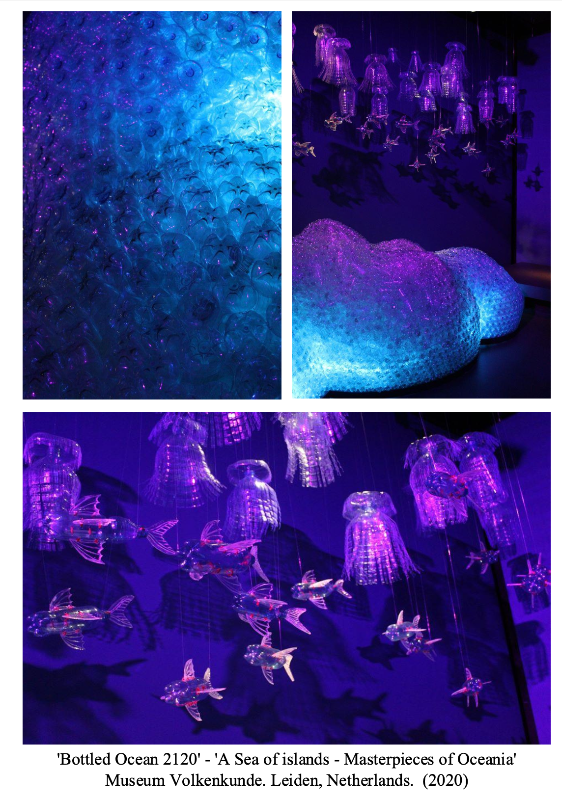 Three images of an exhibit called 'Bottled Ocean 2120' at Museum Volkenkunde in Leiden, Netherlands, showing ocean-themed art installations. The first image shows a close-up of textured, illuminated glass resembling water or bubbles in shades of blue and purple. The second image displays illuminated glass sculptures resembling jellyfish and cloud-like formations in purple and blue. The third image features hanging glass sculptures of jellyfish and other sea creatures in purple, cast shadows on the wall behind.