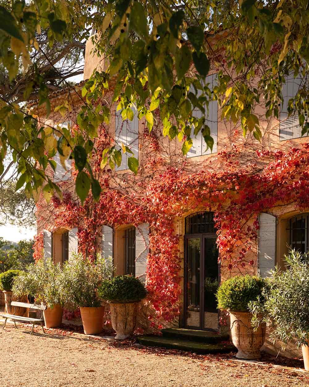 le-noel-de-bastide-ladoucesauvagerie-les-bons-details-lesbonsdetails-15.jpg