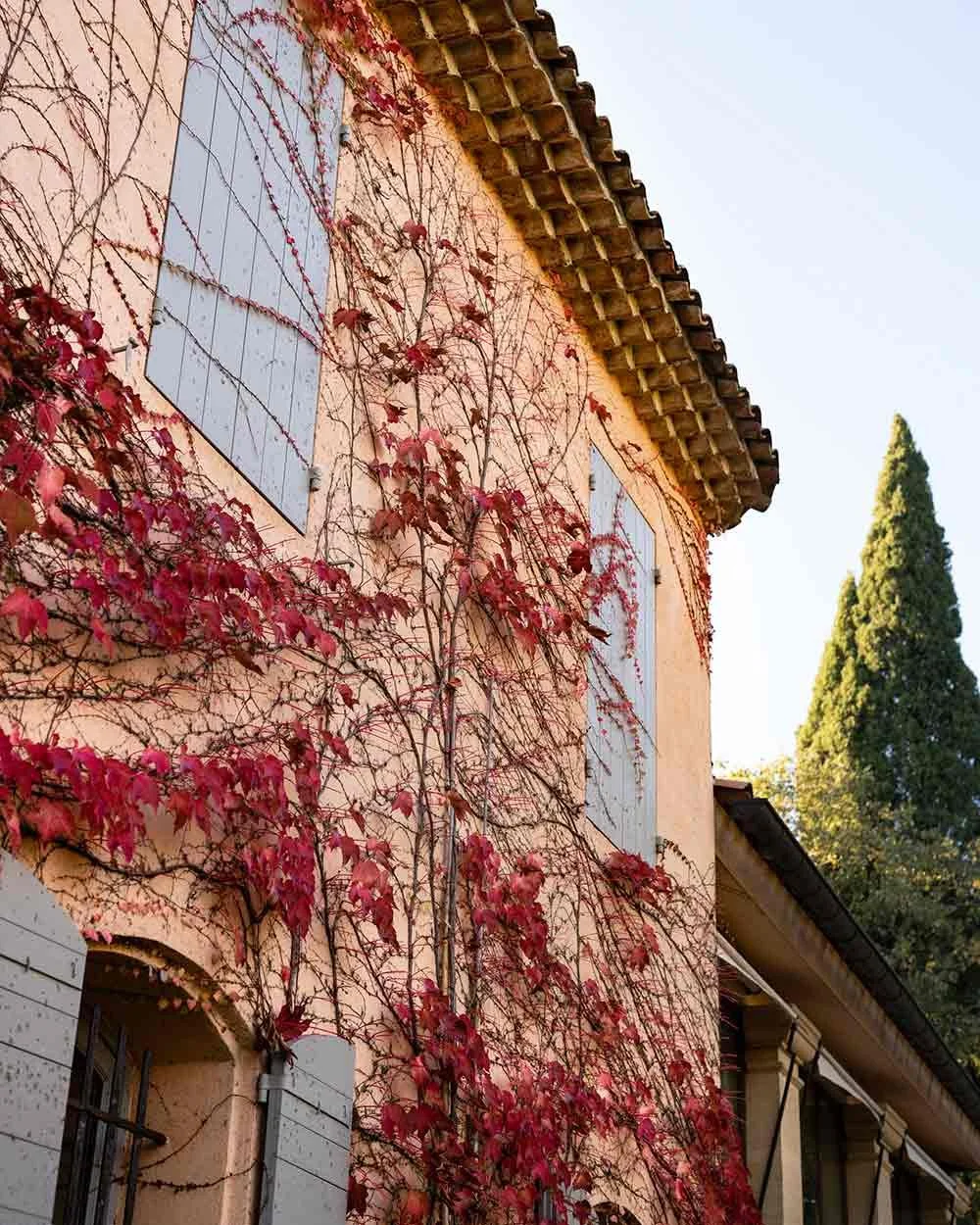 le-noel-de-bastide-ladoucesauvagerie-lesbonsdetails-les-bons-details-14.jpg