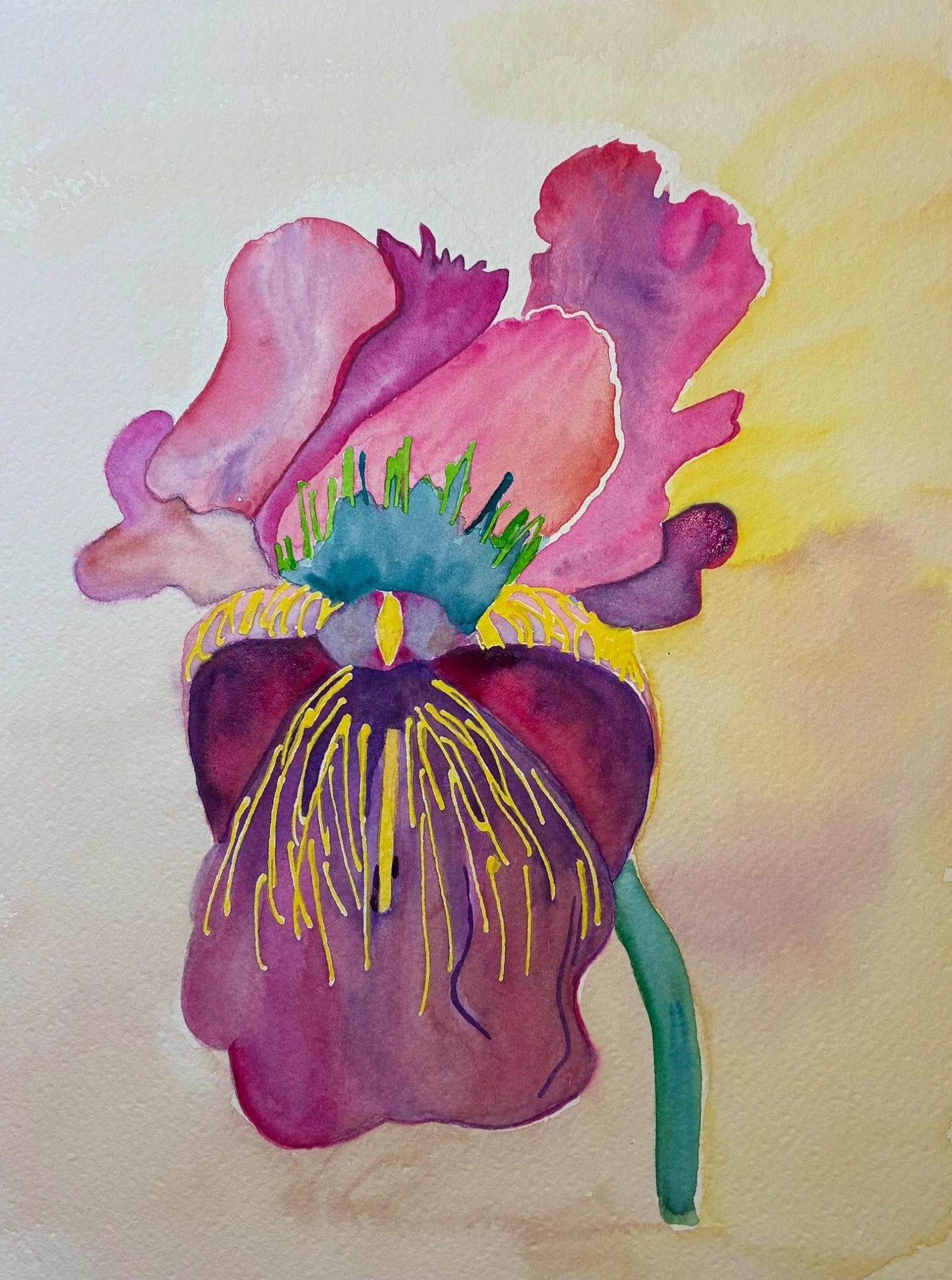 Rose Pourpre Aquarelle 2026 21 x 29 cm