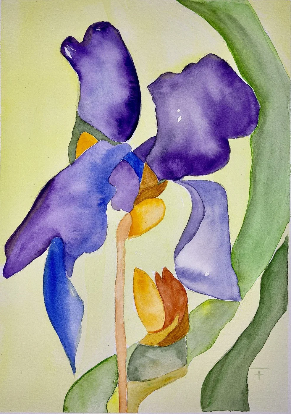 Iris I Aquarelle 2025 21x29 cm