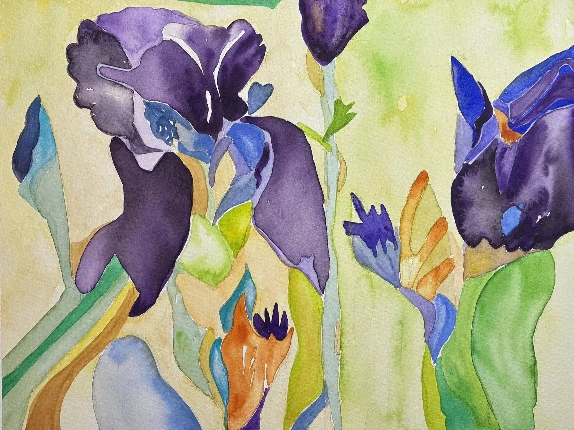 Iris Aquarelle 2025 21x29 cm