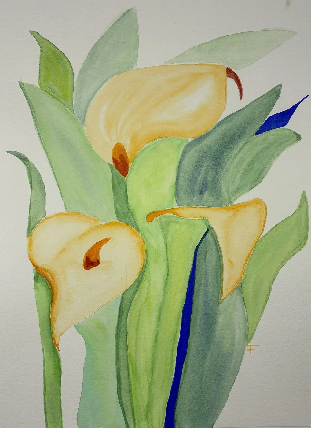 Arums jaunes Aquarelle 2025 21x29 cm