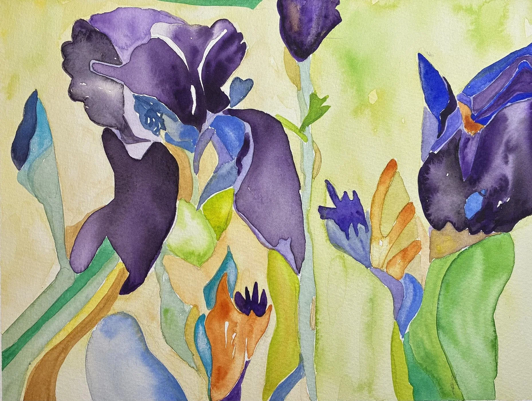 Aquarelle représentant des Iris, des boutons d'Iris dans les tons violets