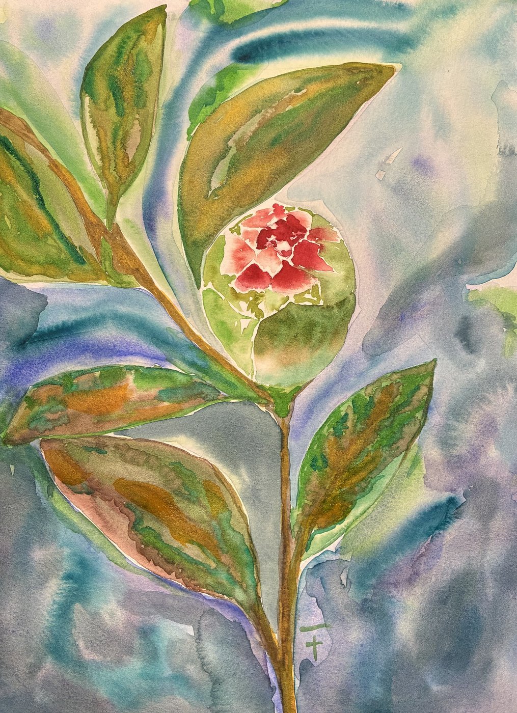 bouton de fleur rouge, un fond turquoise, vert, violet ainsi que quelques feuilles