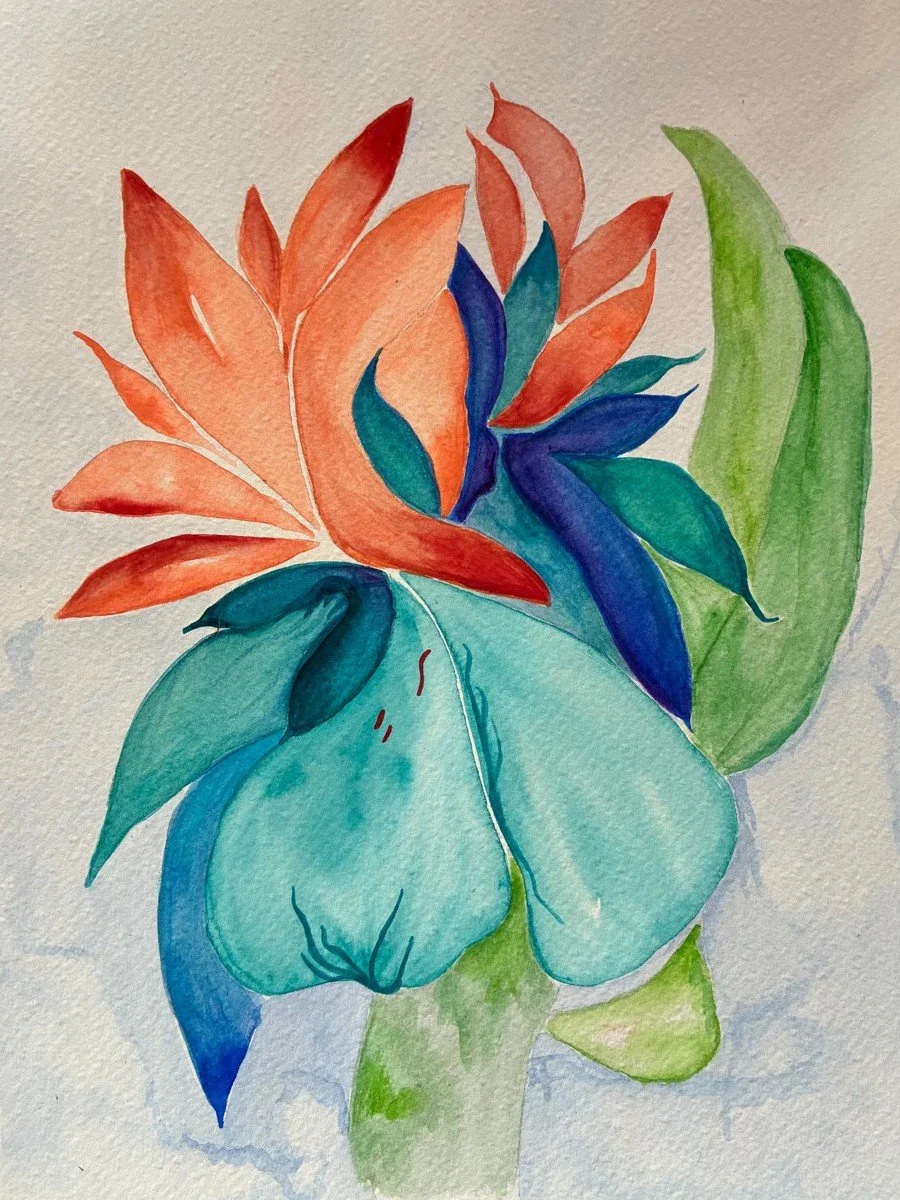 Oiseau de paradis Aquarelle 2026 21x29 cm

