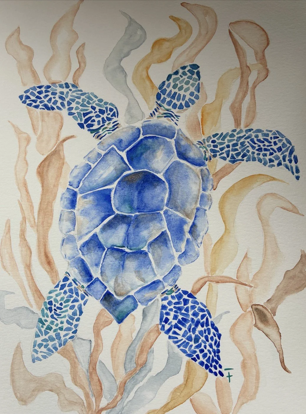 VENDU Tortue Aquarelle 2025 21x29 cm