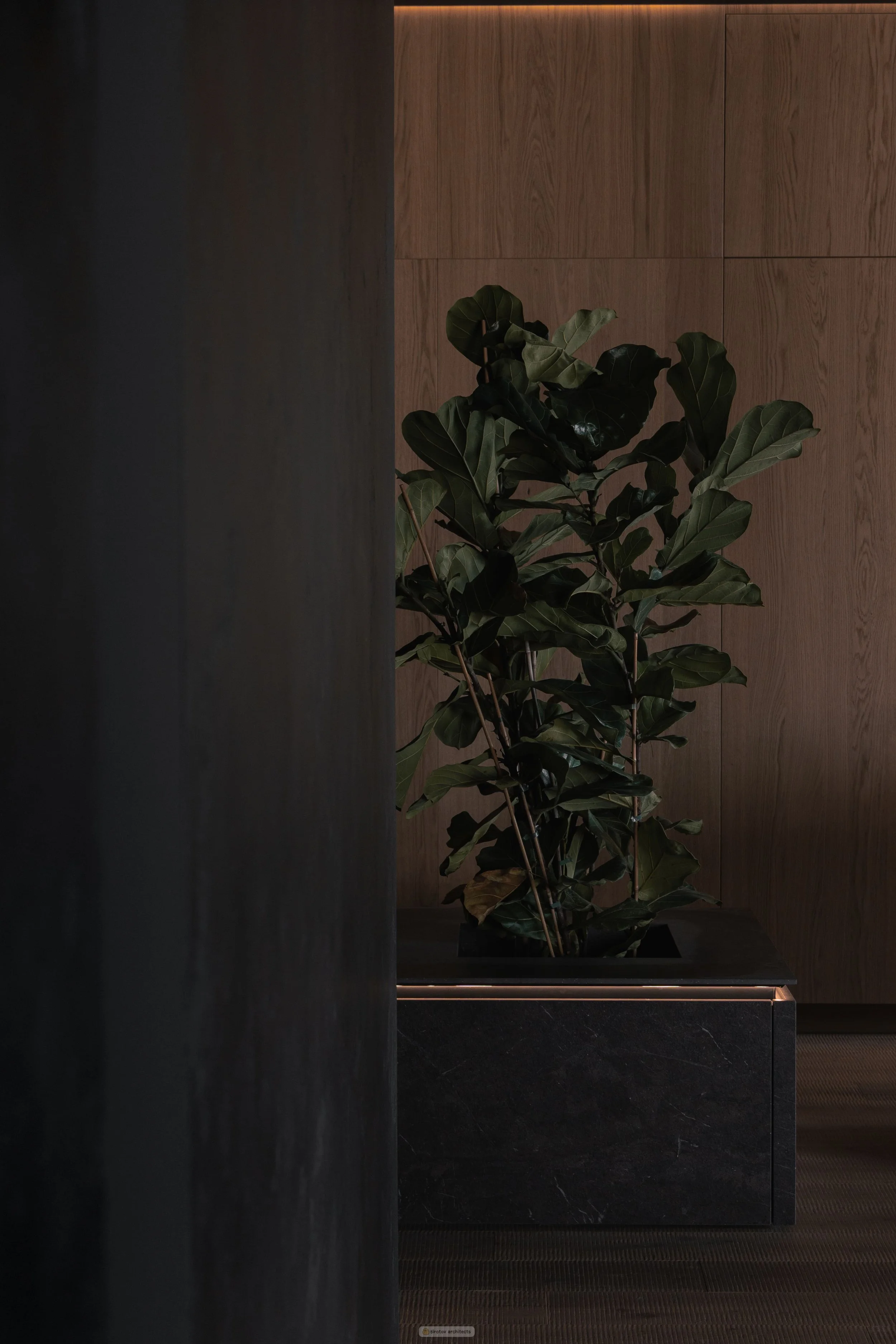 Photo_ (206 of 249).jpg