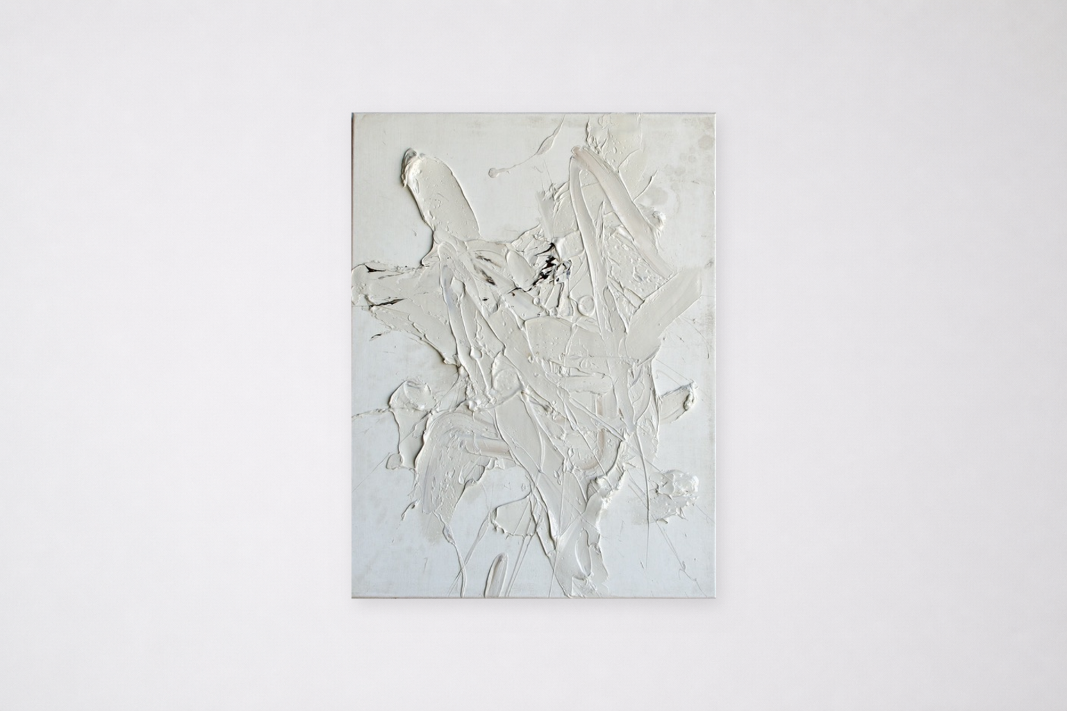 schilderij-80x60-witte-wand-referentie.png