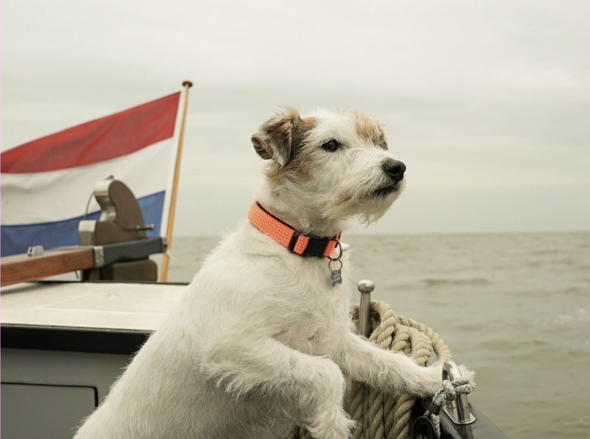 Scherm­afbeelding 2026-02-13 om 18.58.25.png