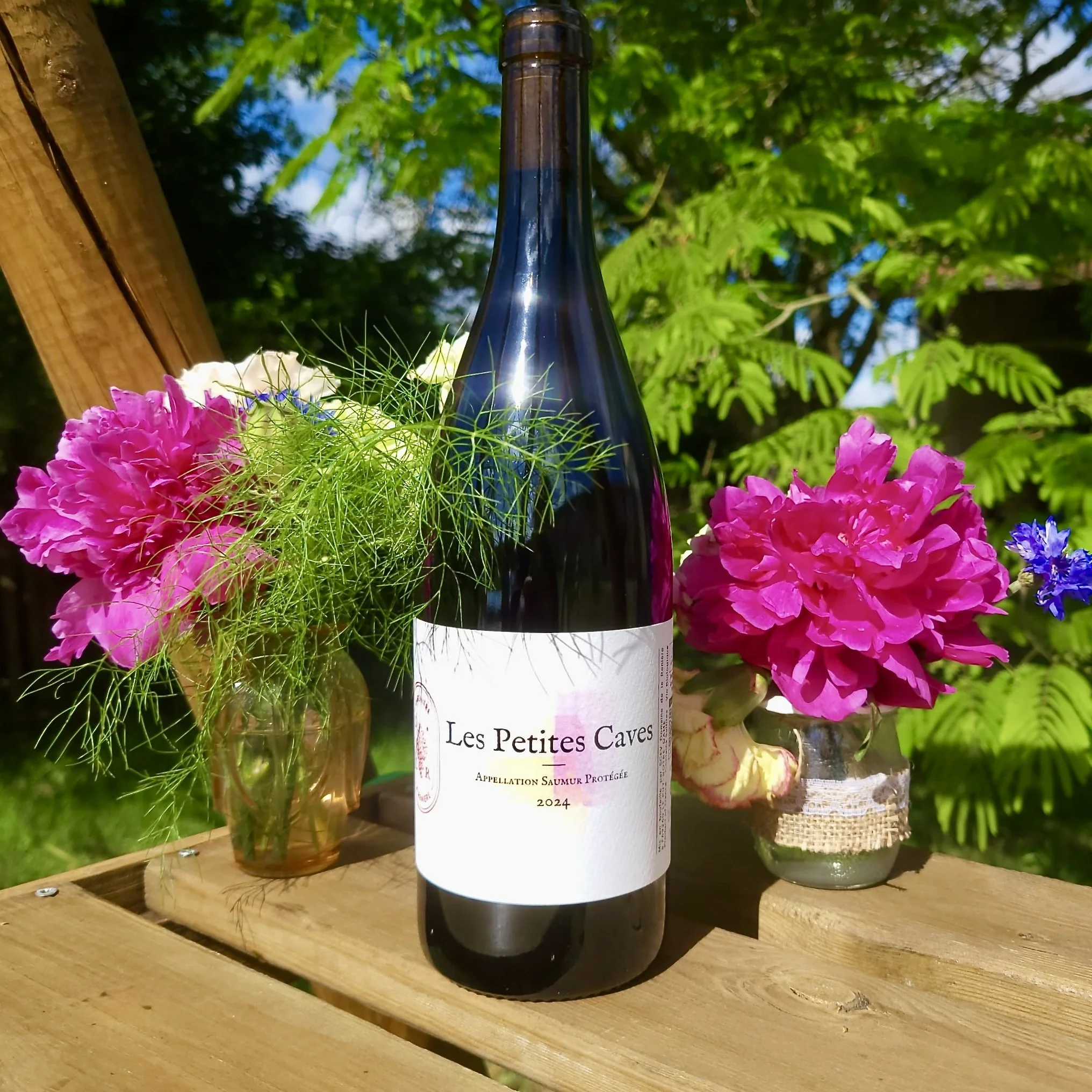 Les Petites Caves rouge, Saumur rouge AOP, Cabernet Franc, Vin biologique Vallée de la Loire, AOP SAUMUR