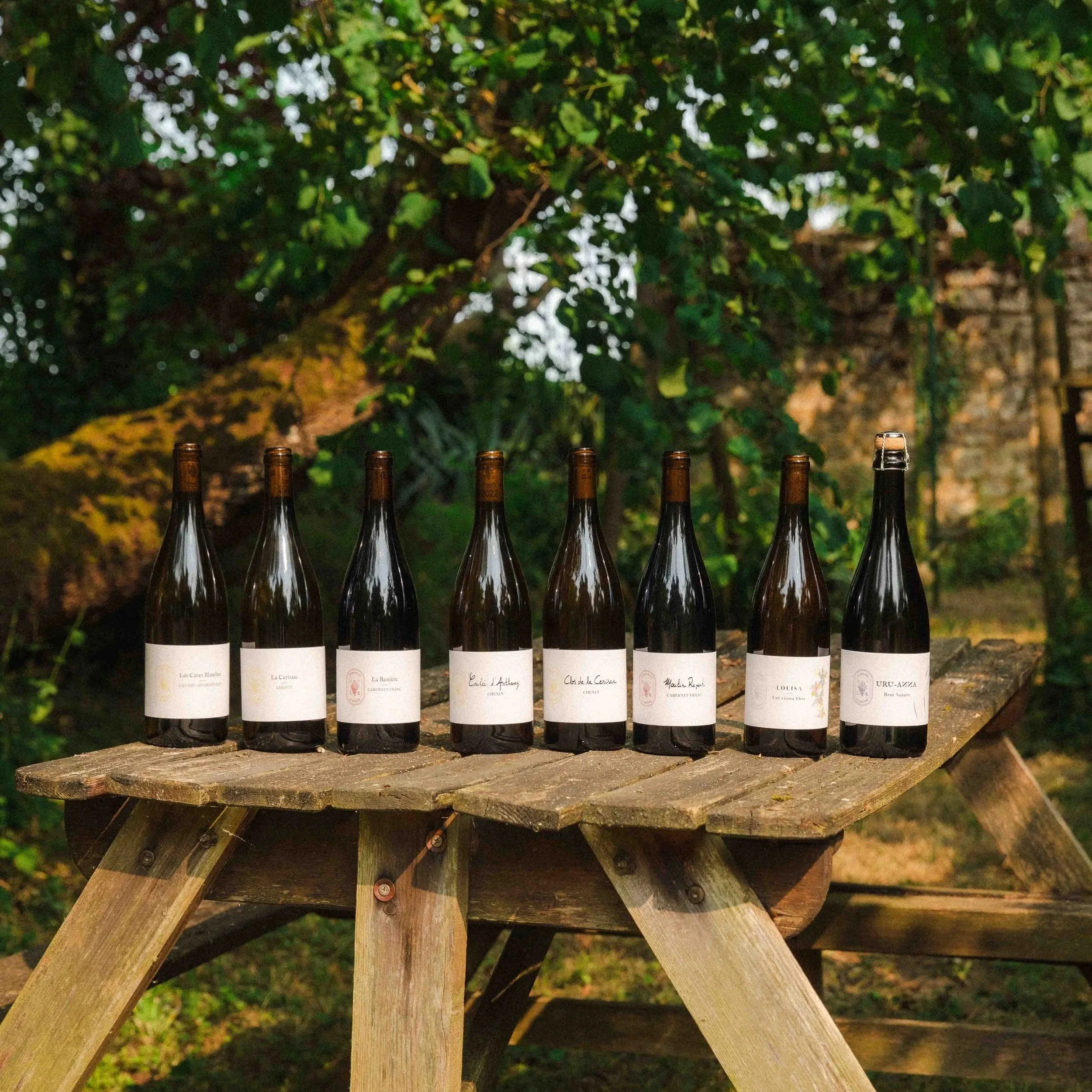 Une rangée de bouteilles de vin placée sur une table en bois à l'extérieur, avec un arrière-plan de feuillage vert.