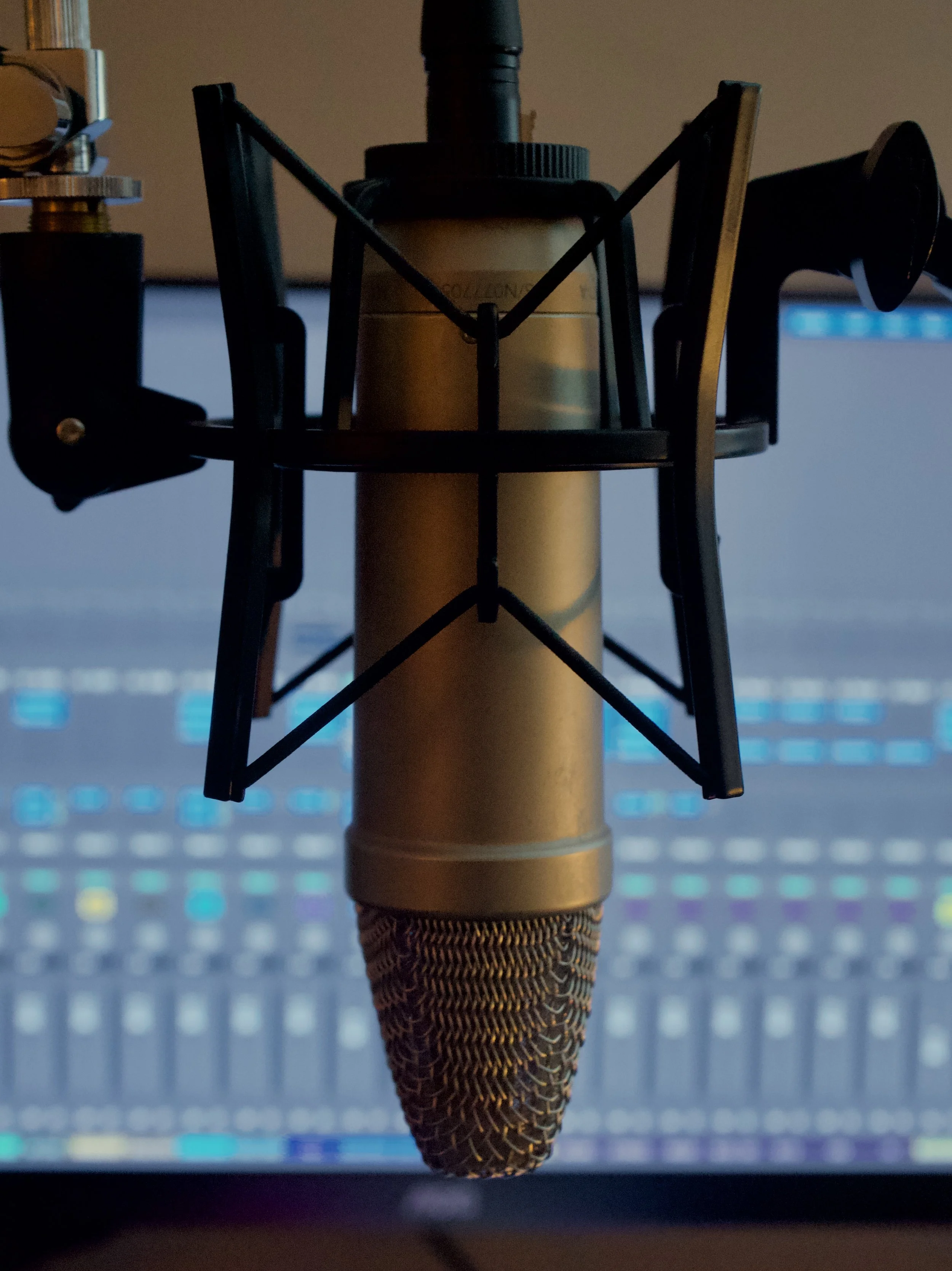 Close-up of a microphone with a pop filter in front of a digital audio workstation screen.