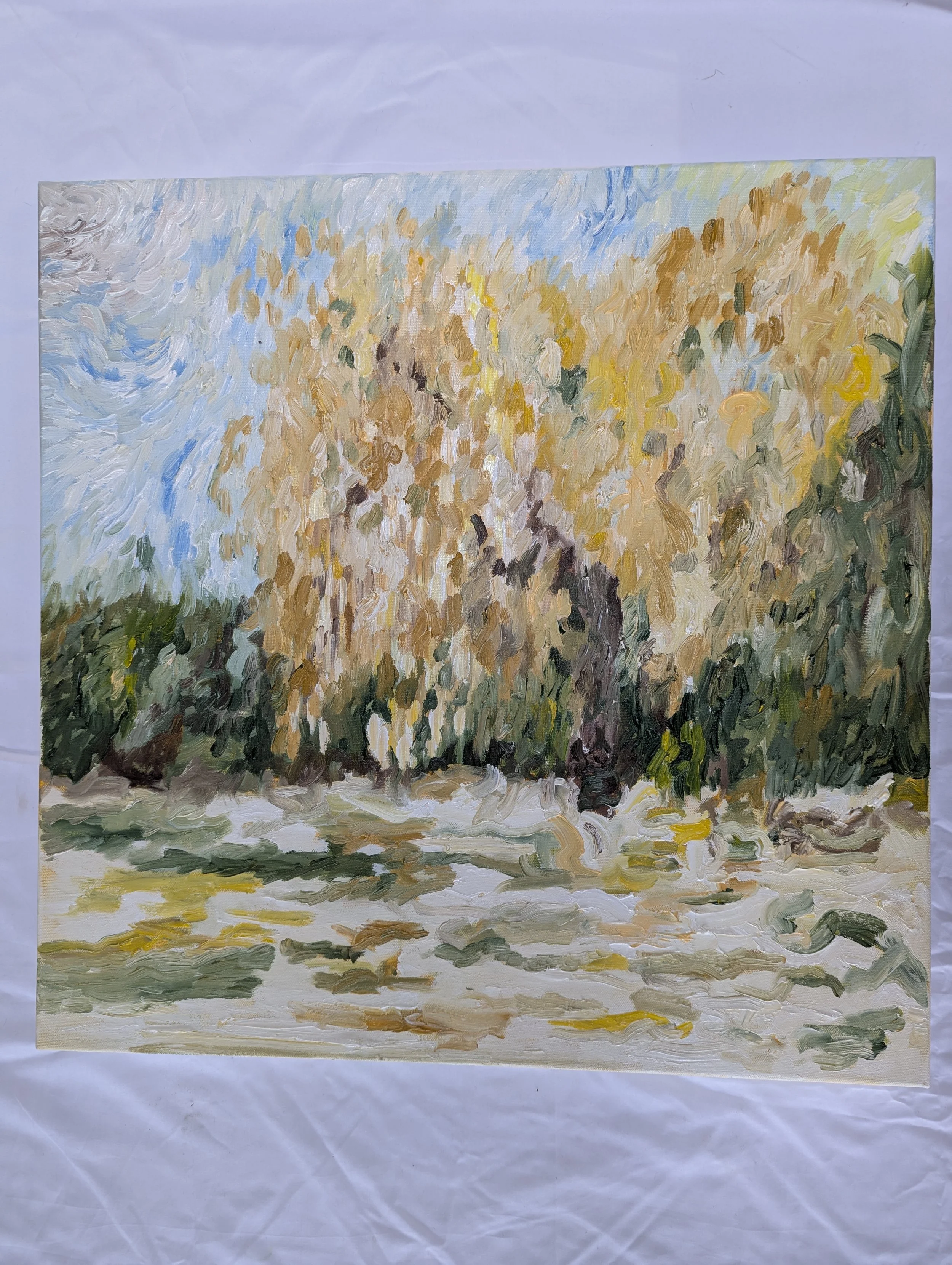 Impressionist Landscapes