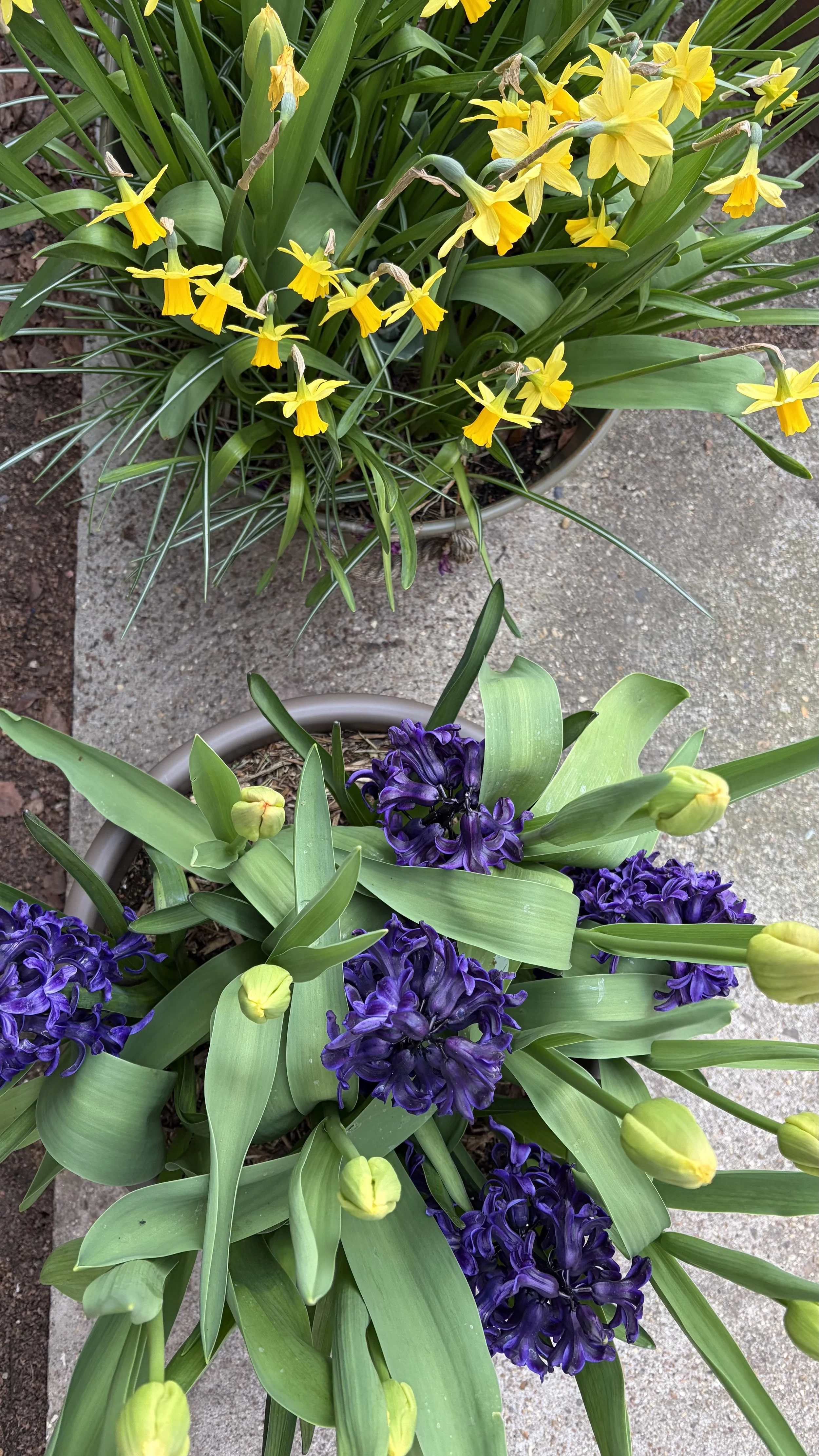 6 Simple SEO Tips to Boost Your Squarespace Website Ranking