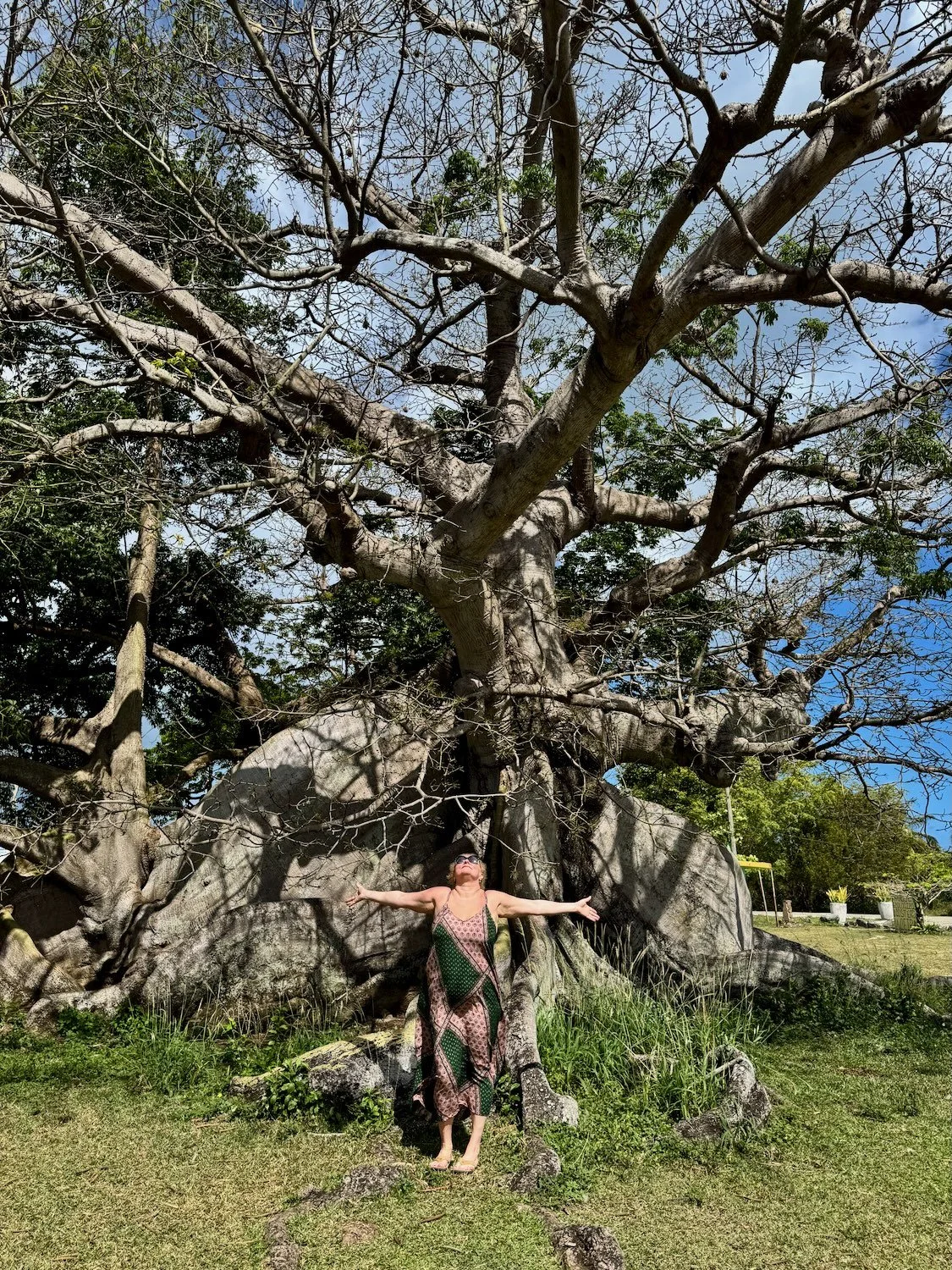 Maya beneath an ancient tree in Vieques, representing surrender, rootedness, strength, and connection to something greater than oneself.