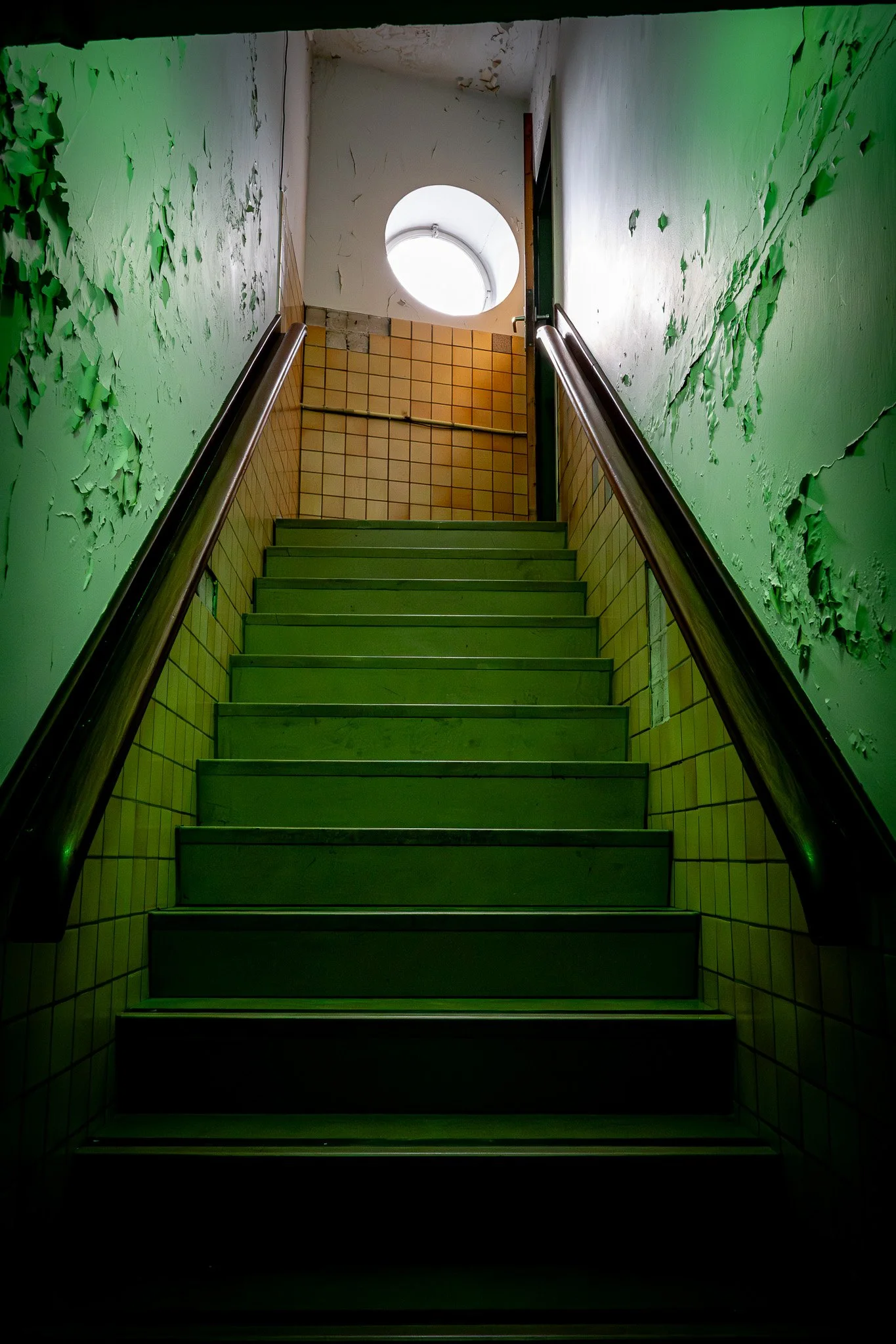 Willemijn Doelman_2026.jpg