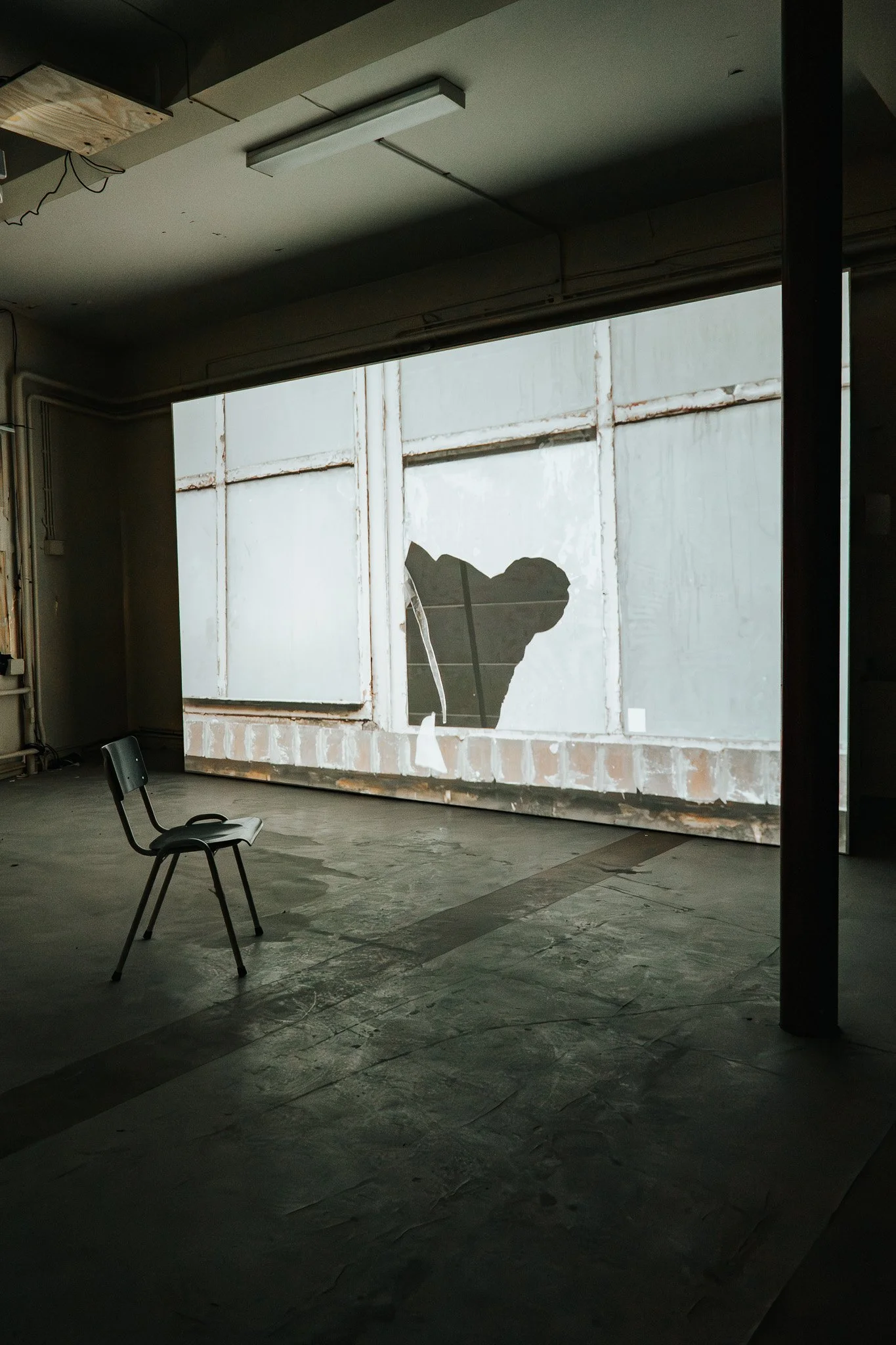 Willemijn Doelman_2181.jpg