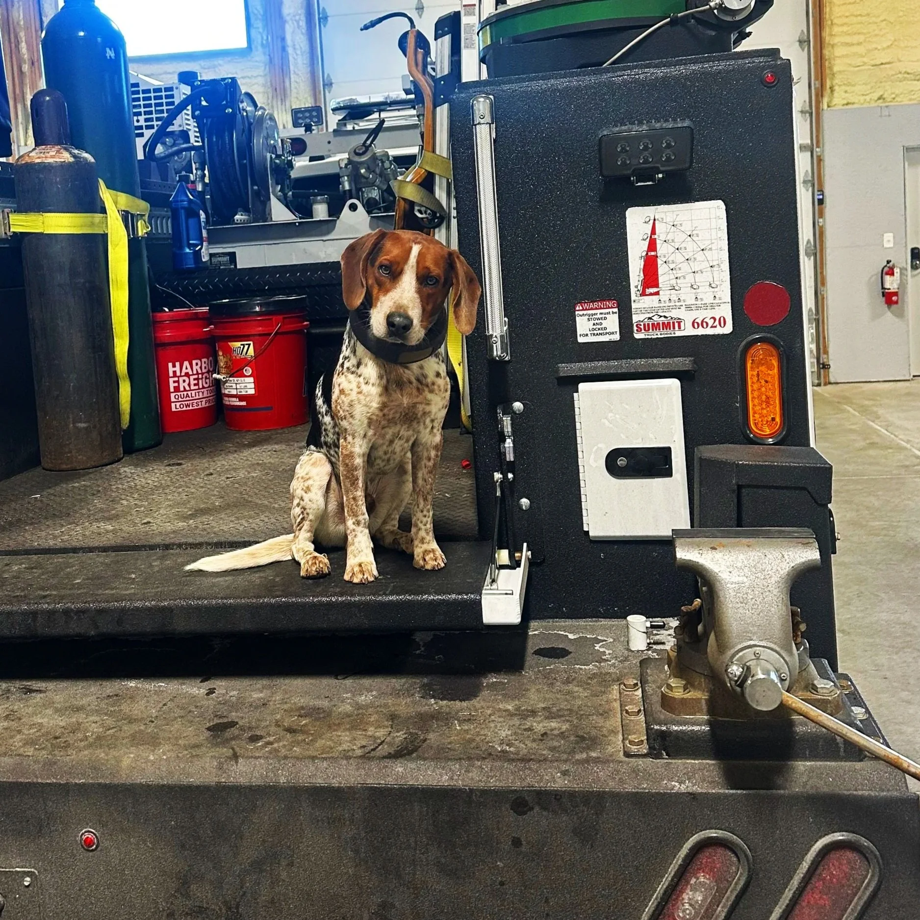 A dog sitting on a workbench next to a black toolbox in the mobile service truck at 502 Equipment service center in Lagrange, KY/