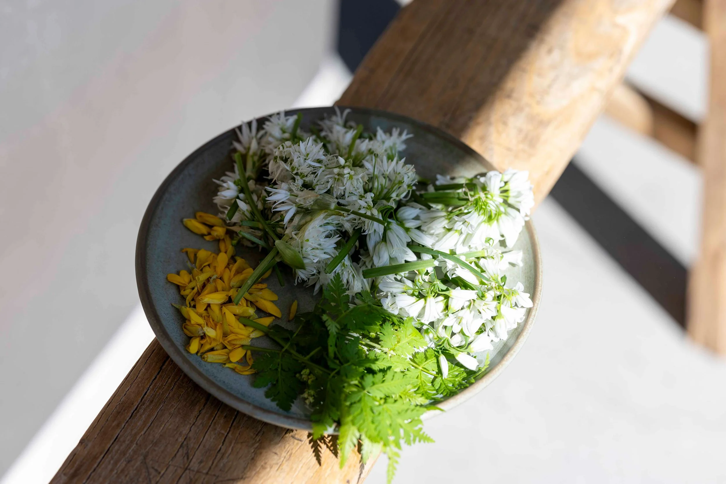A ceramic bowl filled with white flowers, yellow flowers, and green leaves, resting on a wooden surface with a blurred background.