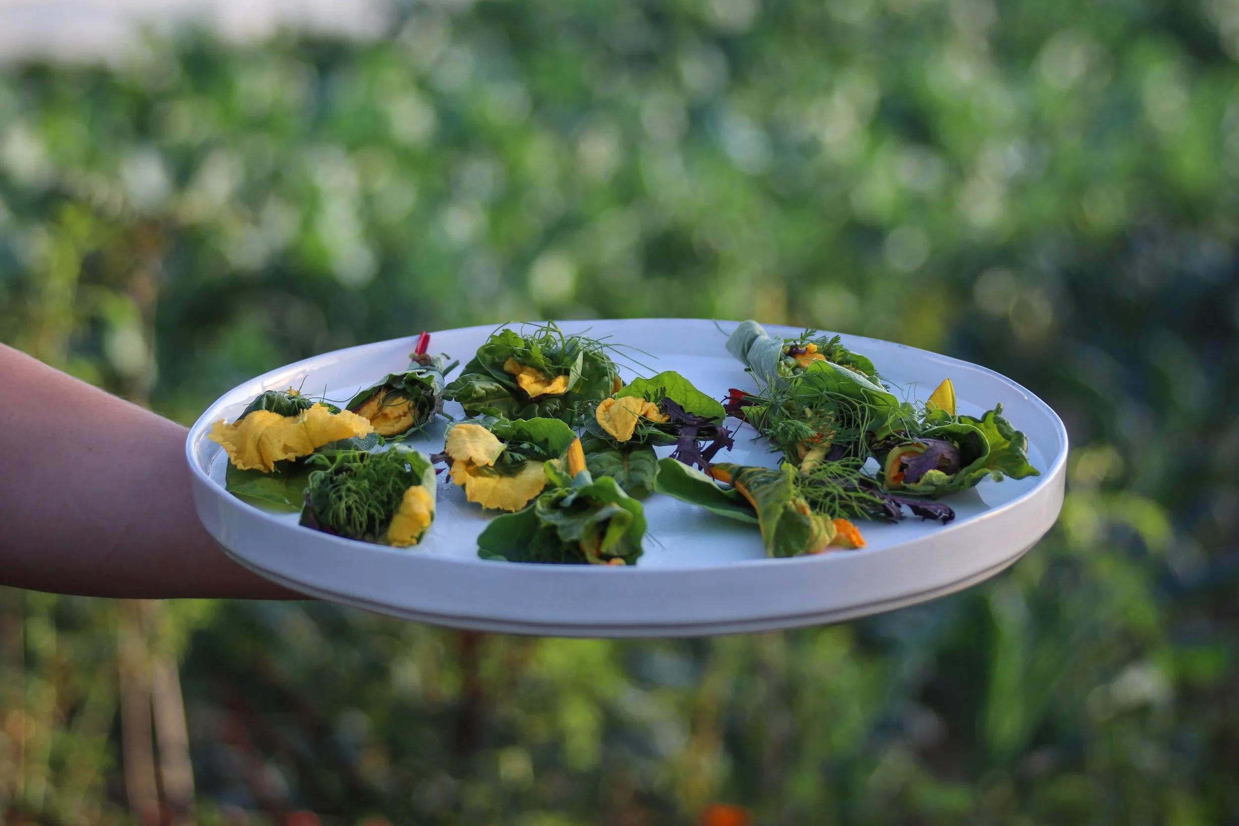 A person holding a white tray filled with mixed green salads, including leafy greens, herbs, and edible flowers, outdoors with a blurred green background.