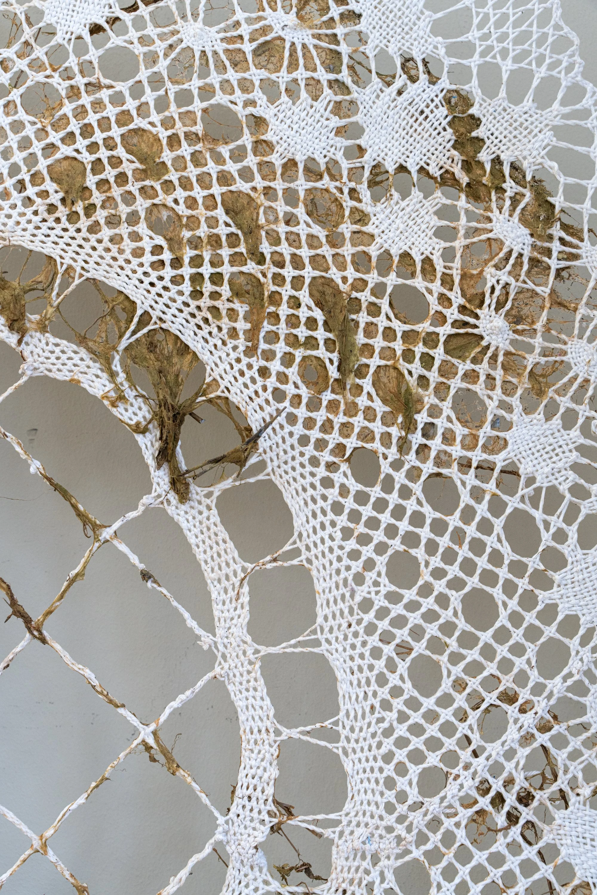 cross-twist-5_A7R0846 3000 dpi.jpg