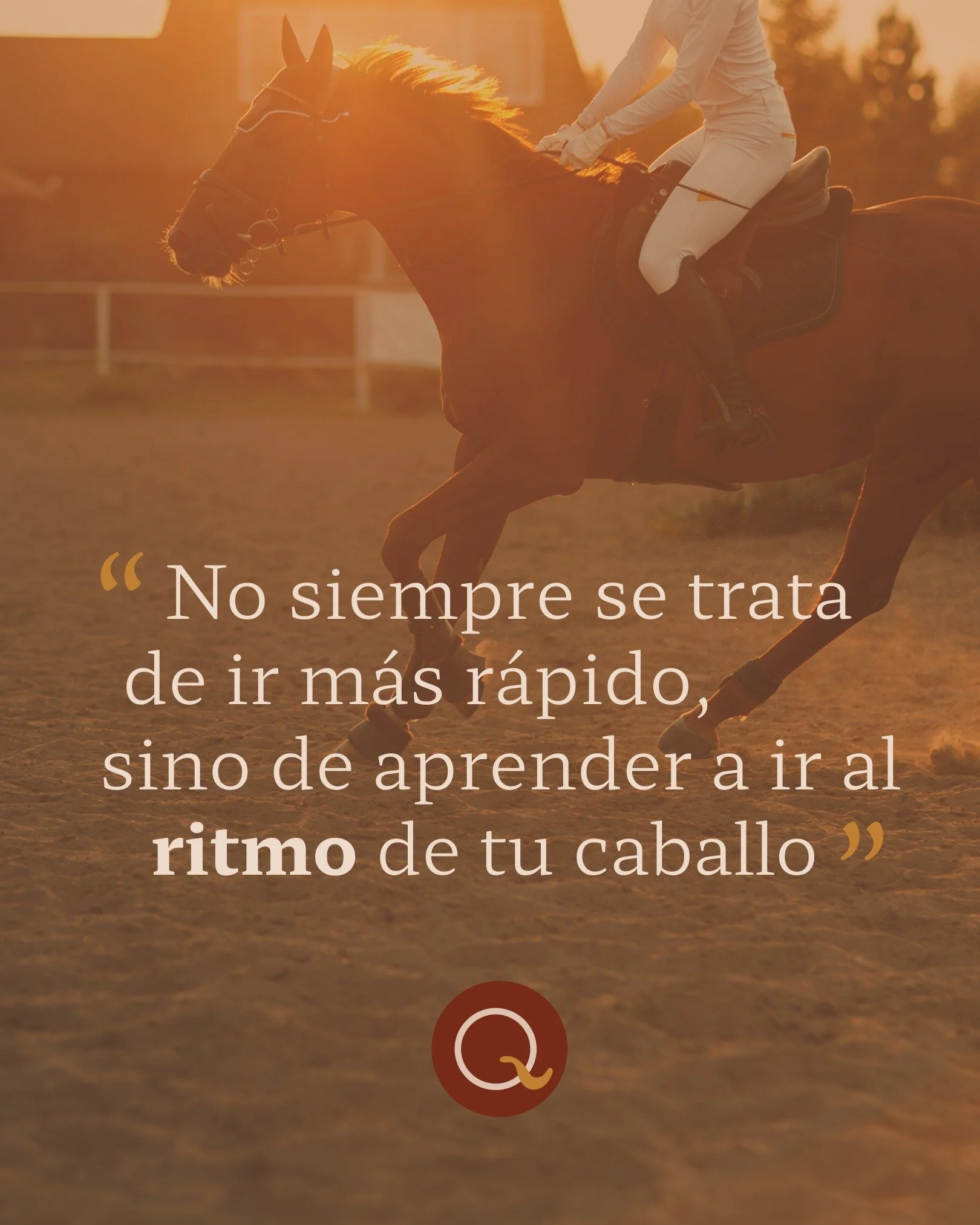 Empezar un nuevo a&ntilde;o tambi&eacute;n es bajar un poco la velocidad y recordar que no todo se trata de hacer m&aacute;s, sino de estar mejor. 🐴✨

Tu caballo no mide el tiempo en pendientes, sino en c&oacute;mo te siente: si llegas con prisa o p