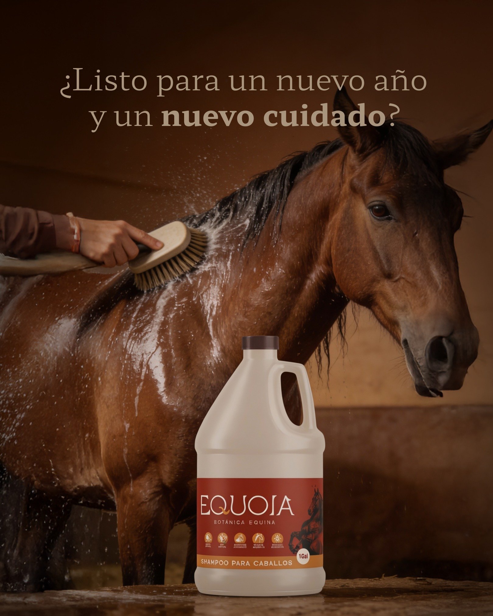 &iquest;Listos para un nuevo a&ntilde;o? 🐴✨

Si todav&iacute;a no has probado el shampoo para caballos Equoia, este puede ser el mejor momento para notar la diferencia en el cuidado de tu caballo.

Nuestra f&oacute;rmula est&aacute; pensada para que