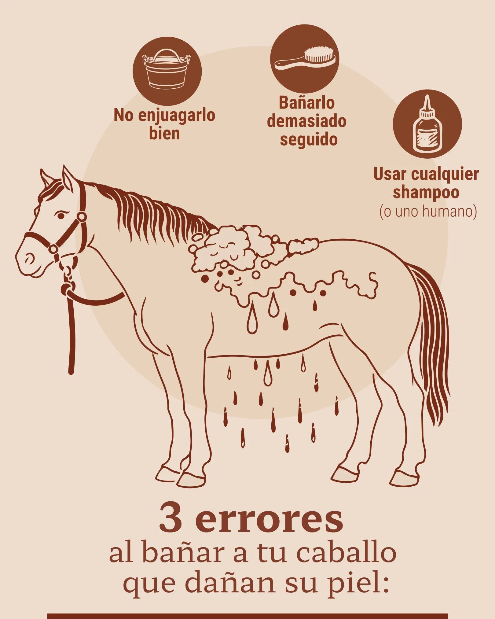 Ba&ntilde;ar a tu caballo no solo es que se vea limpio; tambi&eacute;n impacta en c&oacute;mo se siente su piel despu&eacute;s. Estos son tres errores que pueden da&ntilde;arla sin que lo notes:

❌​ Usar cualquier shampoo (o uno humano)

La piel del 