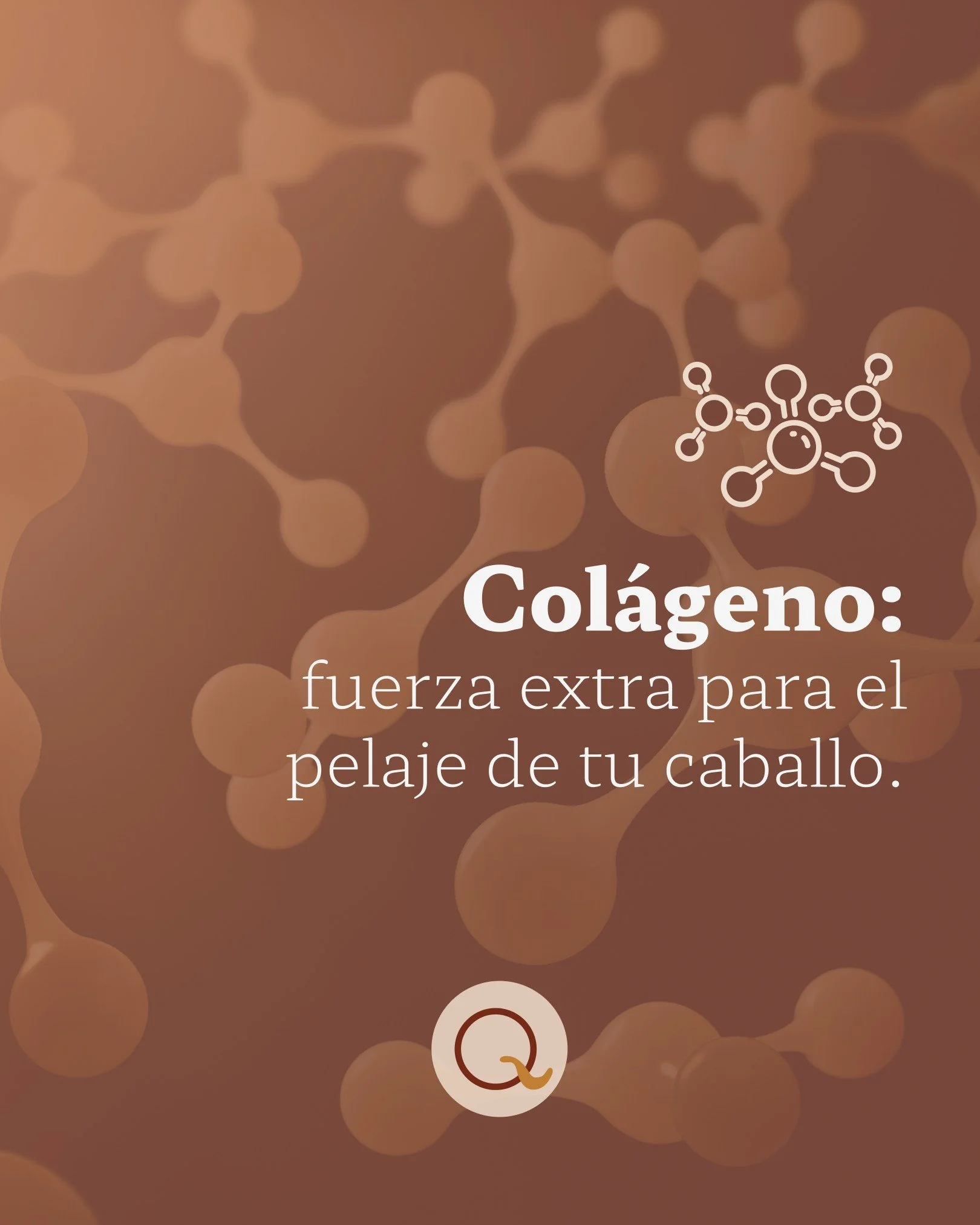 El col&aacute;geno en nuestro shampoo para caballos est&aacute; pensado para aportar prote&iacute;nas que apoyen la estructura del pelo y se note en el d&iacute;a a d&iacute;a.

Estos son los beneficios que brindan al pelaje:

&bull; Mayor resistenci