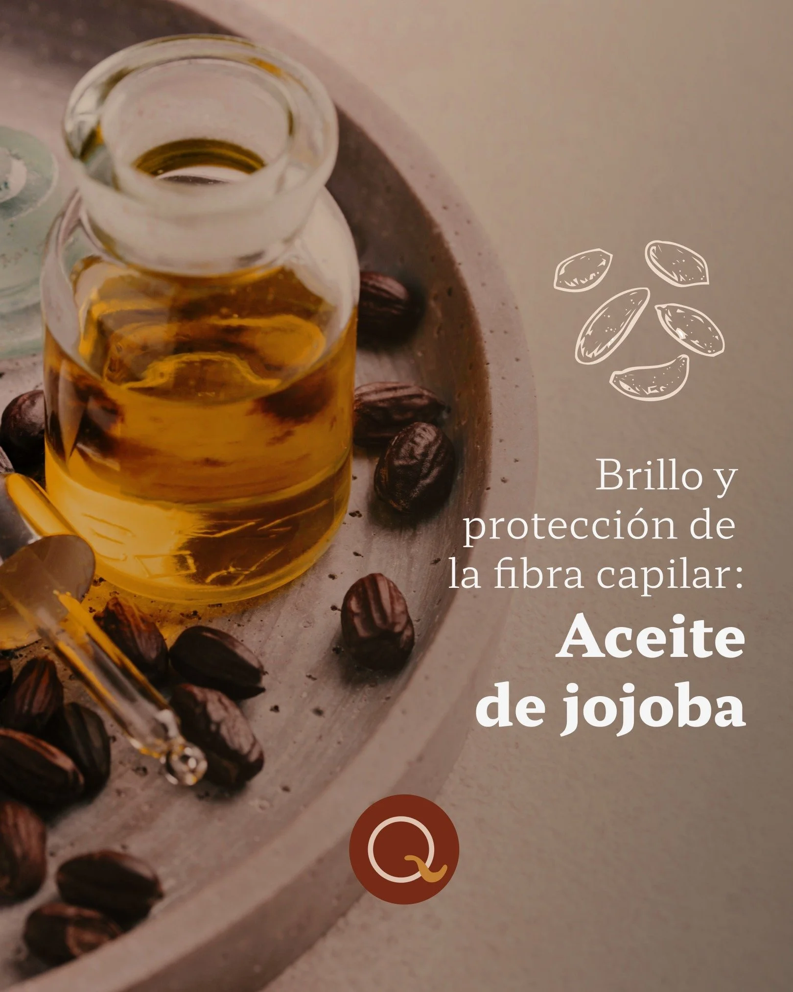 El aceite de jojoba es parte de nuestro shampoo para caballos Equoia porque ayuda a que el pelaje se vea con brillo natural y se sienta m&aacute;s manejable, sin dejar sensaci&oacute;n pesada. 🌿✨

Este ingrediente aporta suavidad, ayuda a reducir la