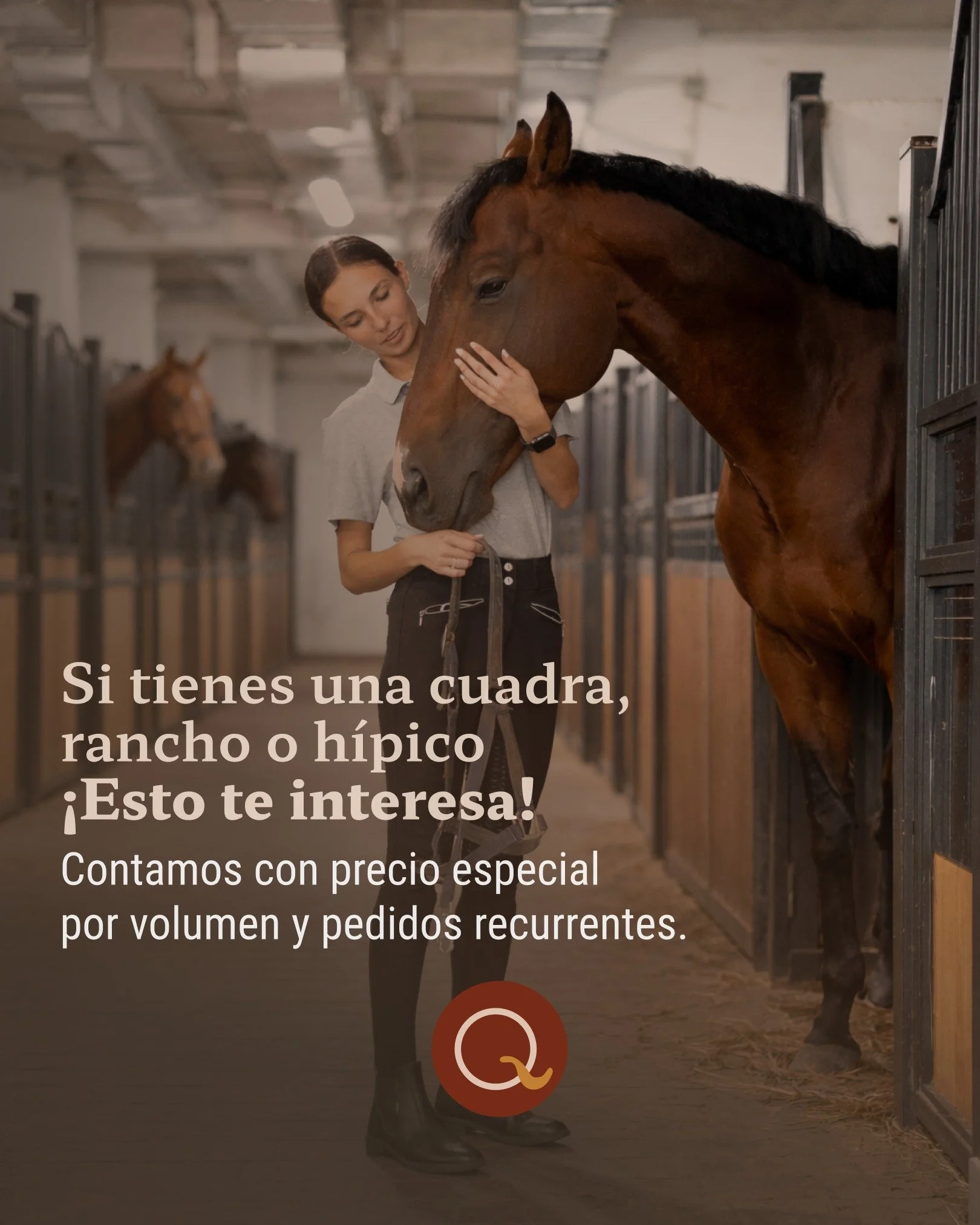 Sabemos que cuando tienes varios caballos, cada compra cuenta y cuidar tu bolsillo tambi&eacute;n es importante. 🤎🐎

En Equoia contamos con precio especial por volumen a partir de 8 galones mensuales. 📦

Una opci&oacute;n pensada para hacer m&aacu