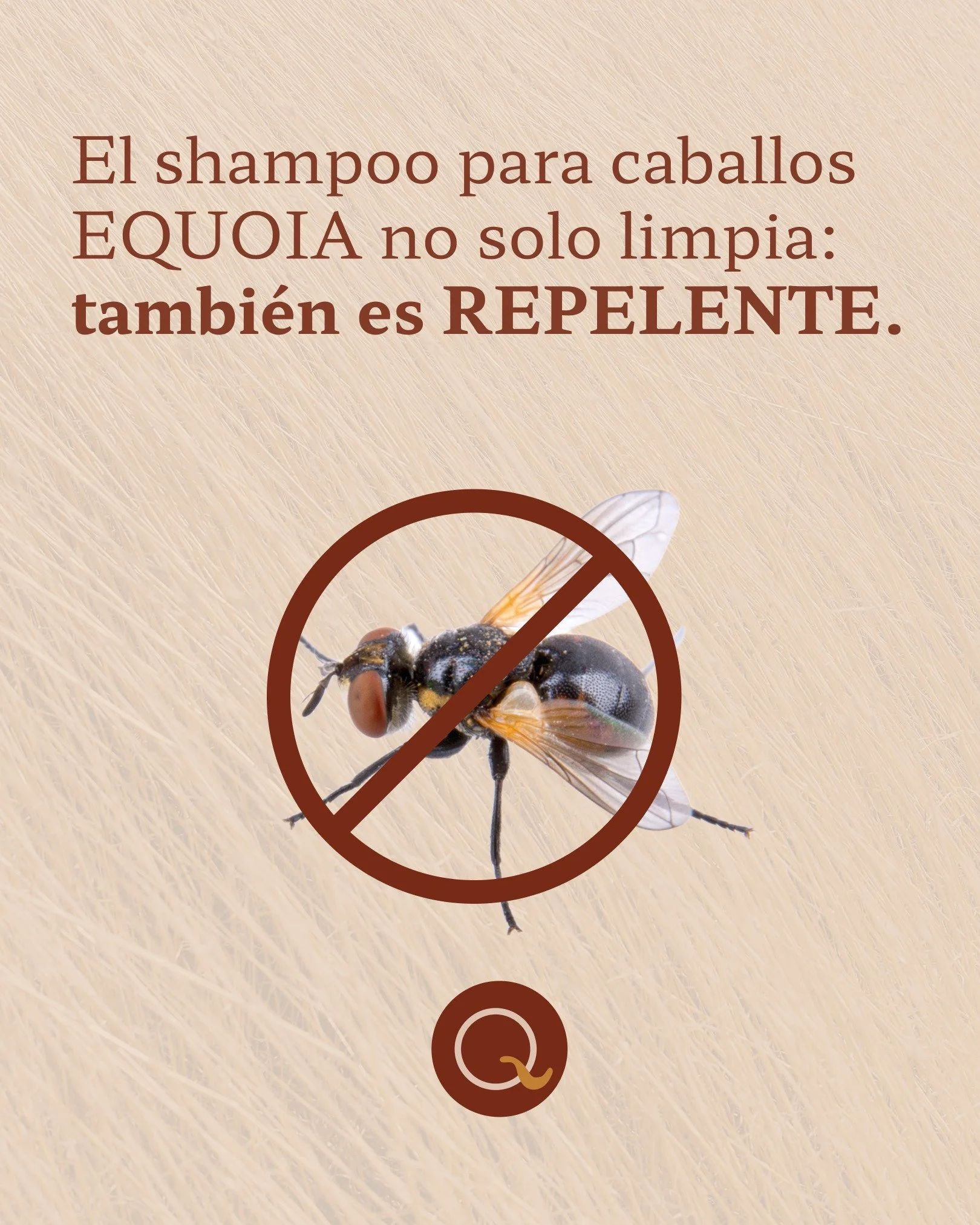 Cuando eliges el shampoo para tu caballo, no solo est&aacute;s pensando en limpieza: tambi&eacute;n est&aacute;s eligiendo qu&eacute; tanto valor aporta a su rutina. 🐎

En Equoia, buscamos que cada uso y cada ingrediente sume m&aacute;s que un ba&nt