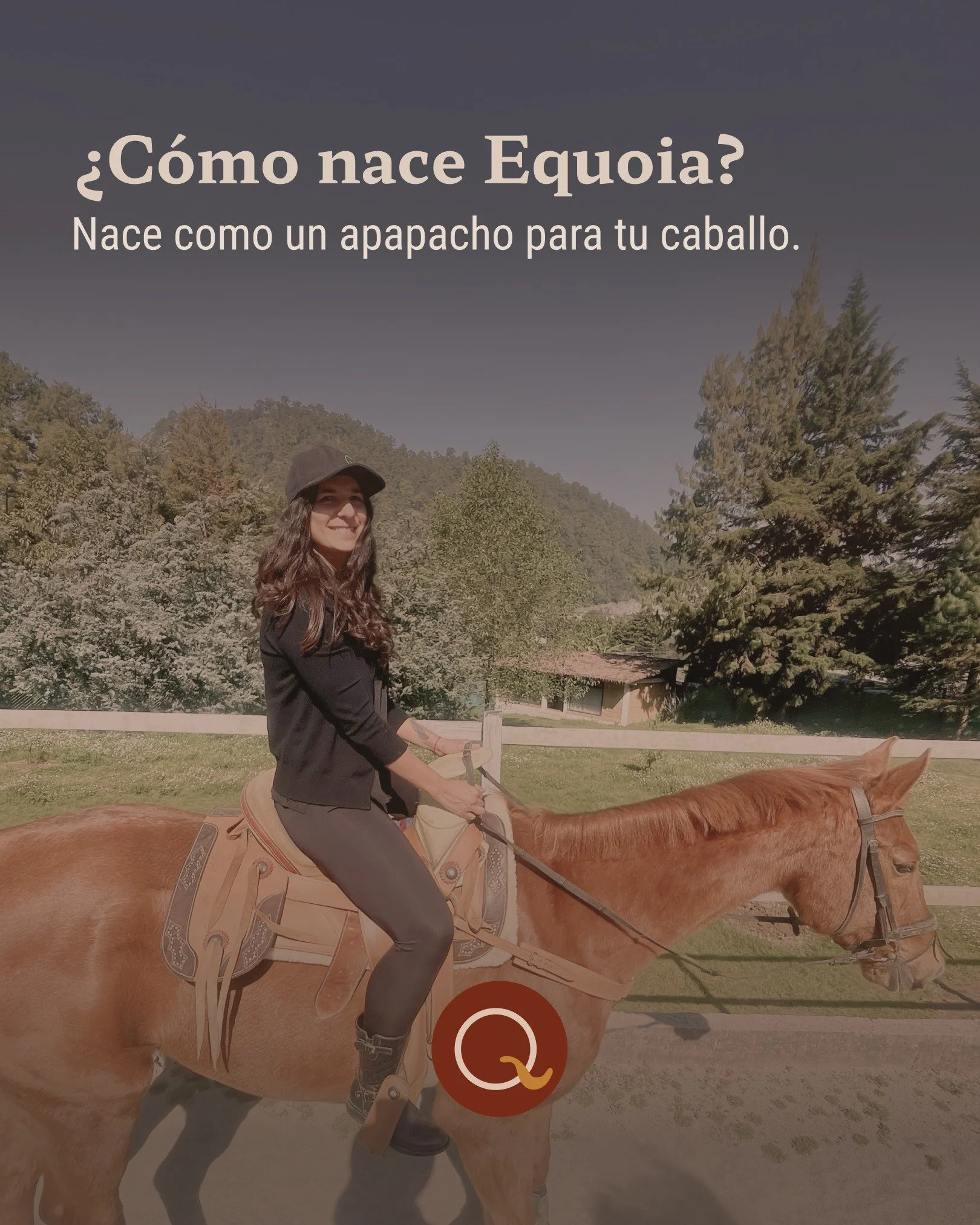 Equoia nace desde una idea muy simple, pero muy poderosa: cuidar a tu caballo con la misma intenci&oacute;n con la que cuidas lo que amas.

Detr&aacute;s de esta f&oacute;rmula hay una b&uacute;squeda por el bienestar, por los ingredientes naturales 
