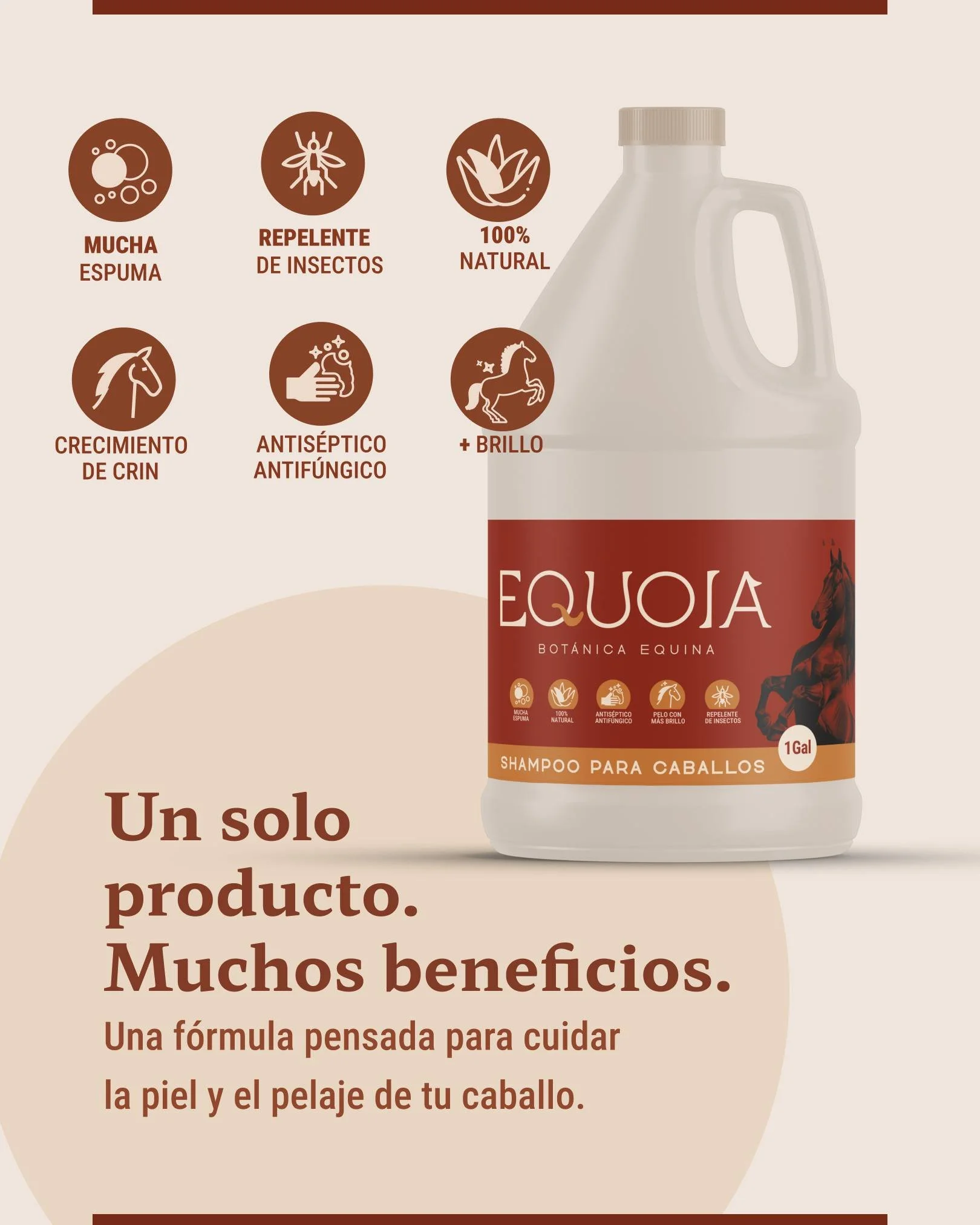 Un buen shampoo no solo se nota cuando limpia, tambi&eacute;n en c&oacute;mo deja el pelaje, c&oacute;mo se siente la piel y en lo pr&aacute;ctico que vuelve el momento del ba&ntilde;o.

Por eso, cuando una f&oacute;rmula est&aacute; bien pensada, pu