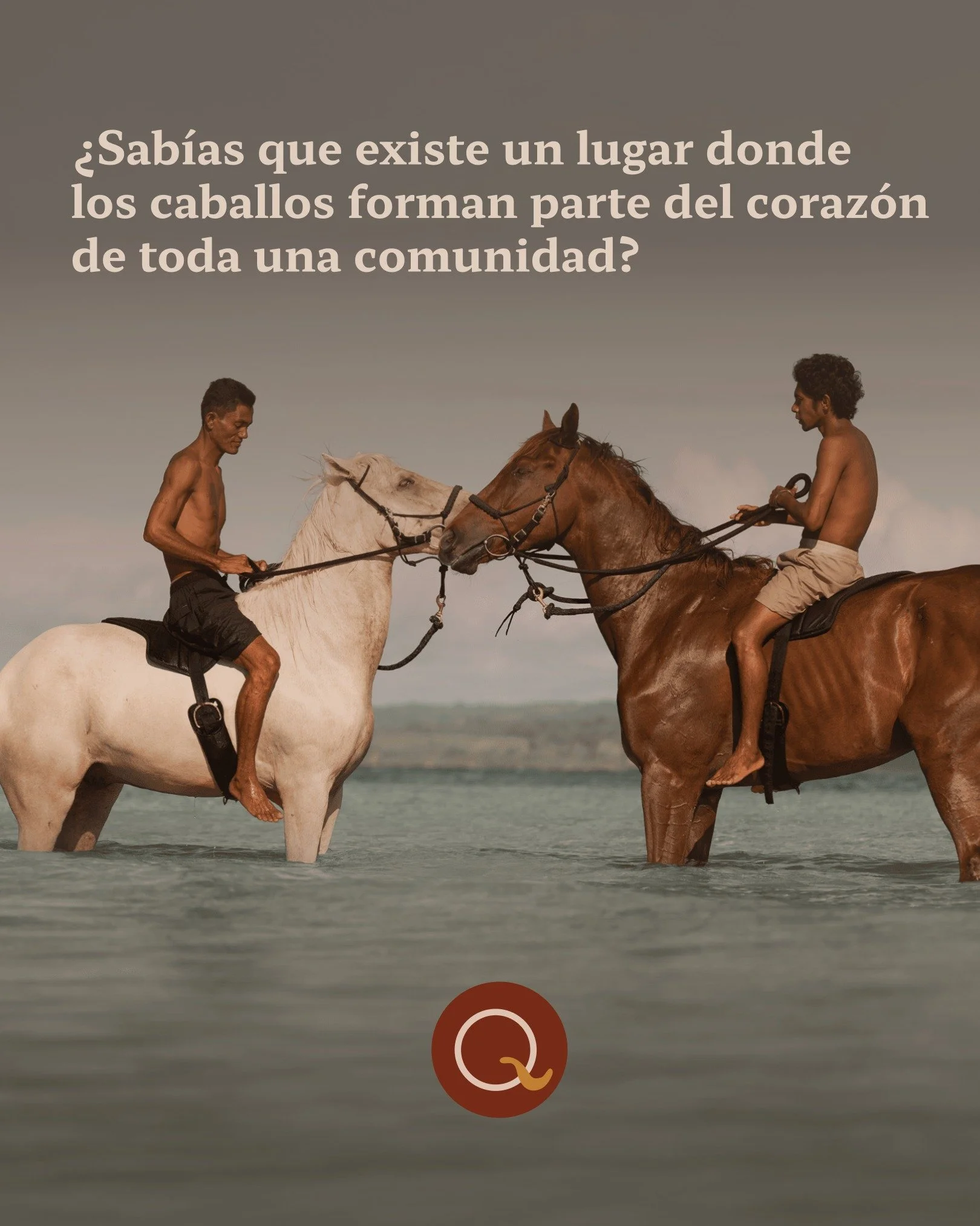 En algunos lugares del mundo, los caballos no solo est&aacute;n presentes en el paisaje: tambi&eacute;n ayudan a contar la historia de quienes viven ah&iacute; 🌿🐴

En Sumba, Indonesia, su presencia ha acompa&ntilde;ado durante generaciones la vida 