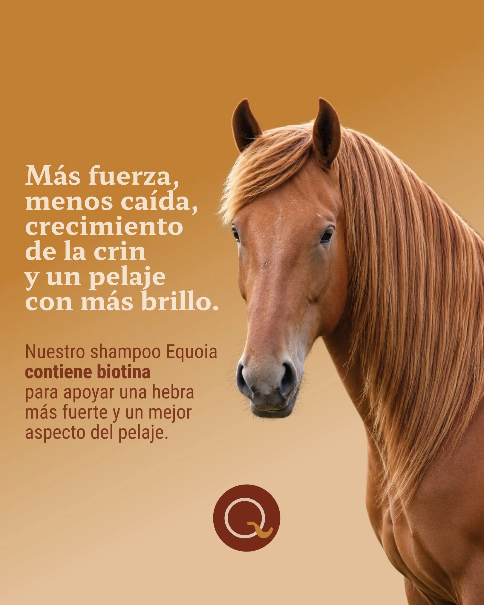 La biotina es uno de esos ingredientes que hacen diferencia en el cuidado del pelaje, porque ayuda a fortalecer la hebra y a mejorar su resistencia con el uso constante.

En Equoia, este ingrediente apoya un pelaje con mejor apariencia, m&aacute;s br