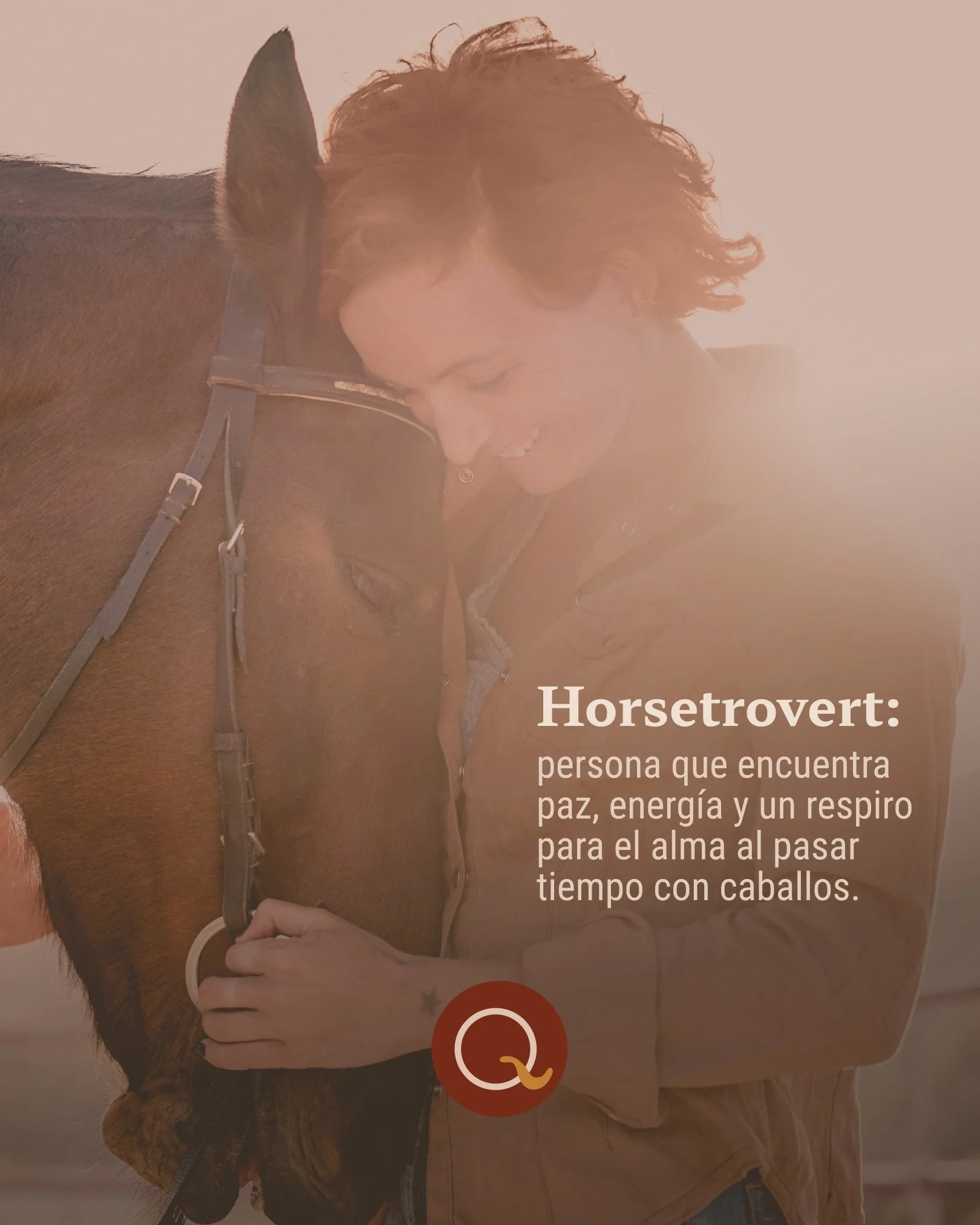 Hay una calma muy especial en pasar tiempo con un caballo. 🐴🤎

En su compa&ntilde;&iacute;a, el ruido baja, la respiraci&oacute;n cambia y el d&iacute;a parece acomodarse poco a poco. No hace falta mucho: una caricia, una caminata o simplemente com